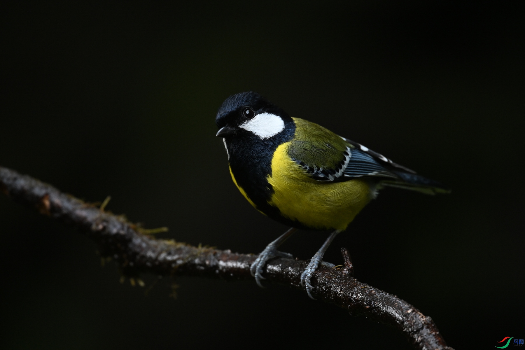 DSC_6924.JPG