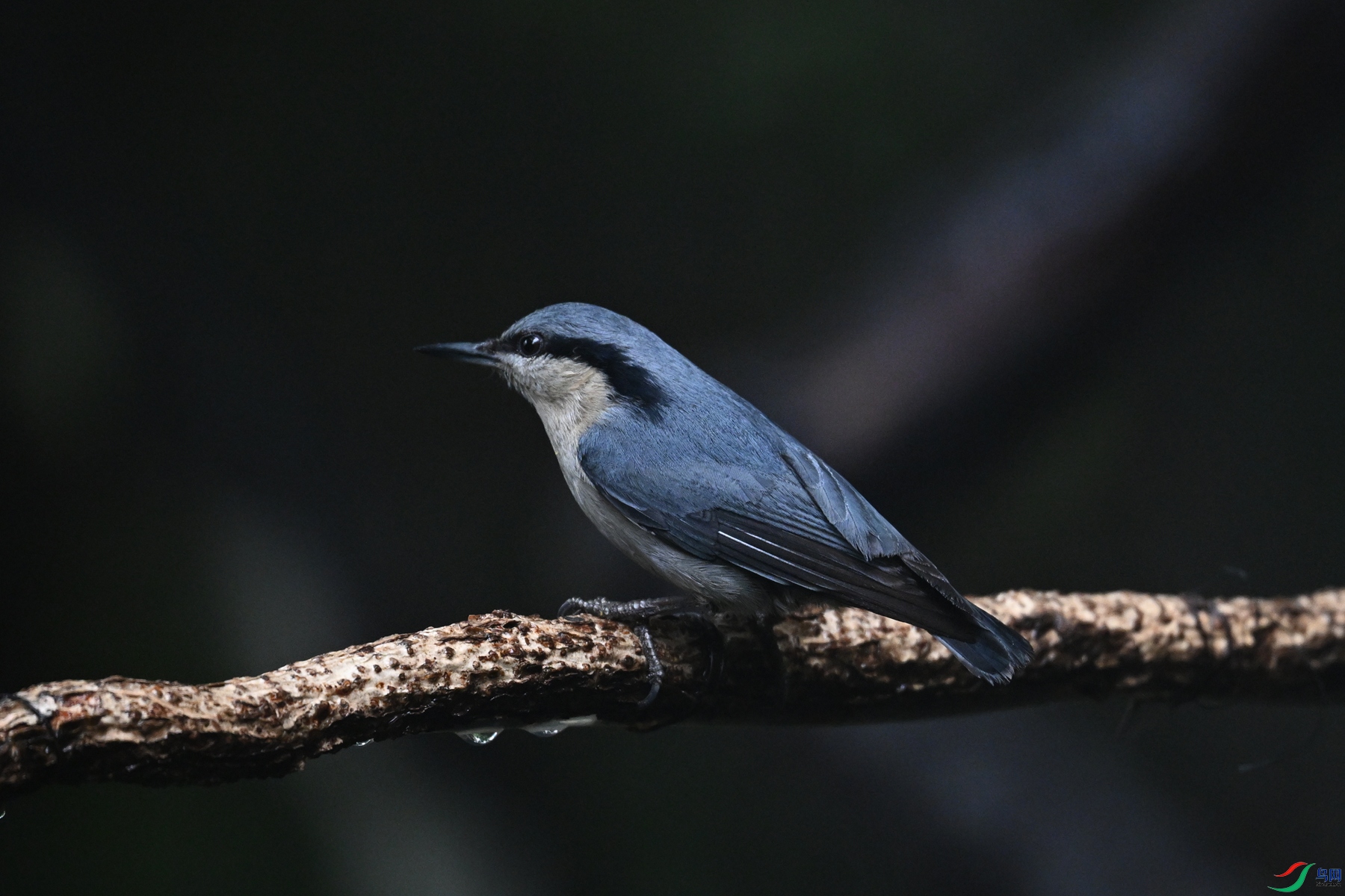 DSC_6907.JPG