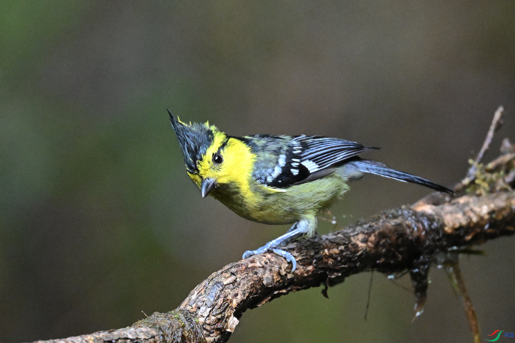 DSC_6908.JPG
