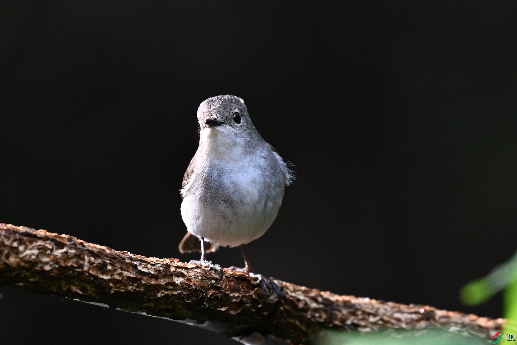 DSC_6955.JPG