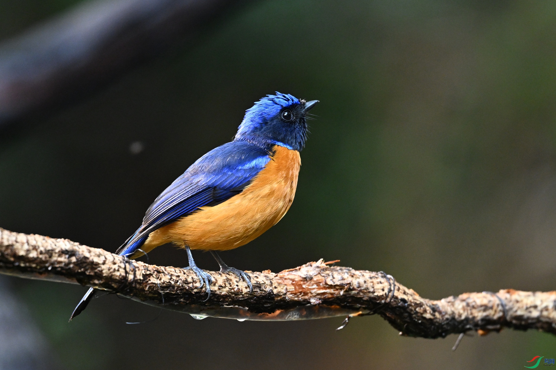 DSC_6936.JPG