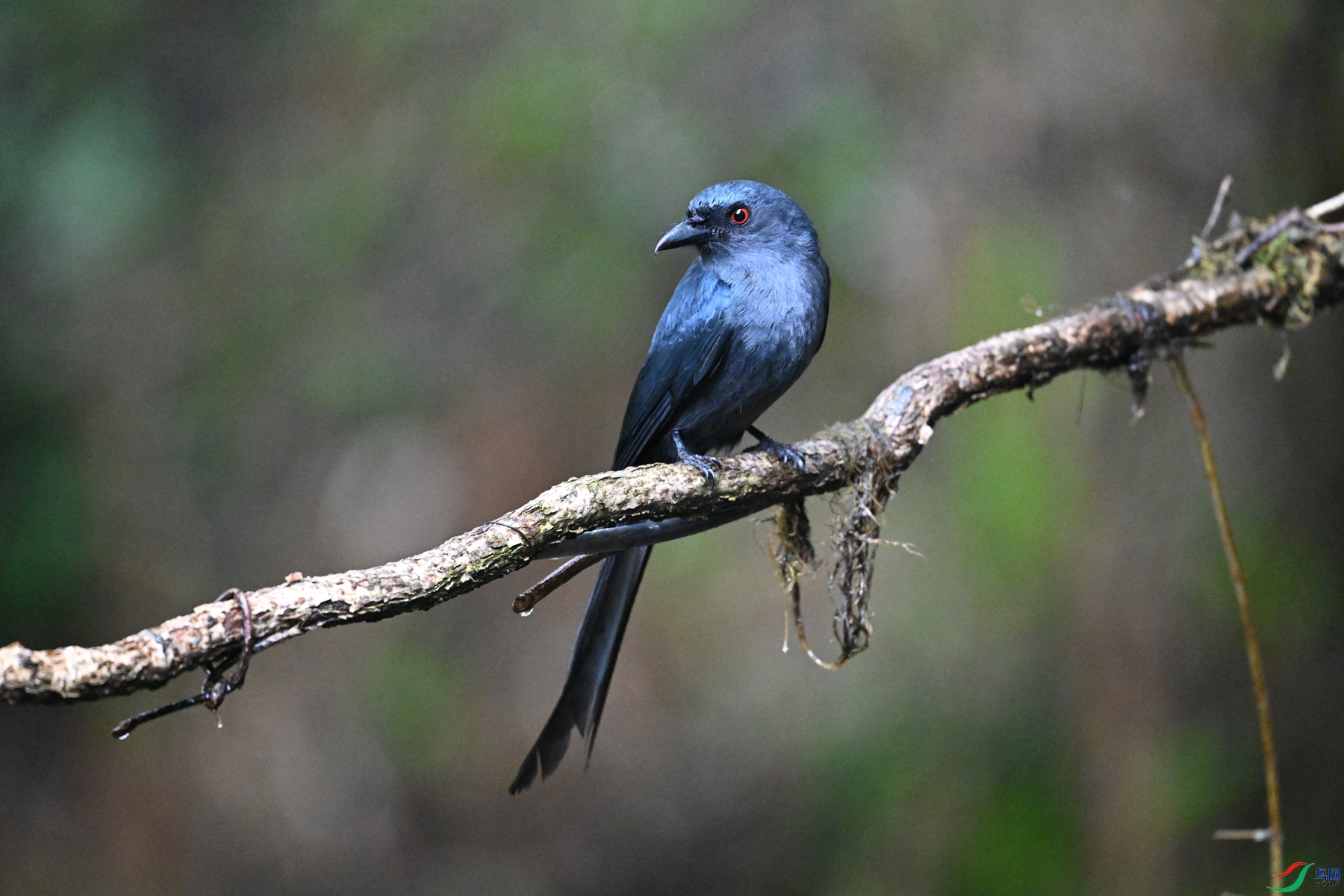 DSC_6912.JPG