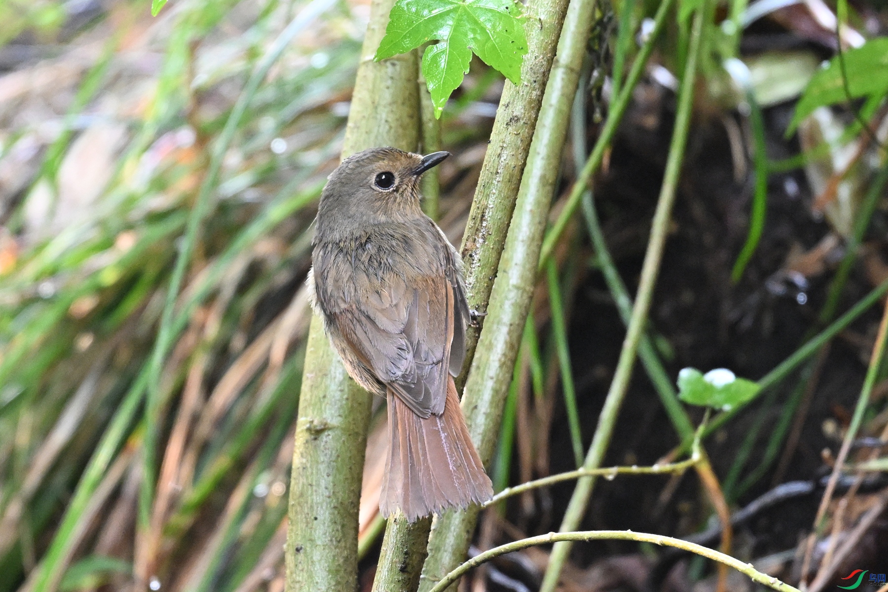 DSC_6939.JPG