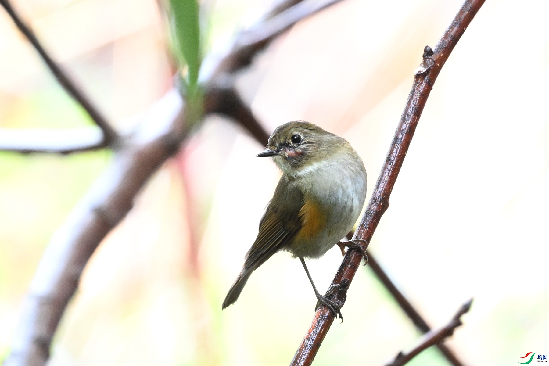 DSC_6927.JPG