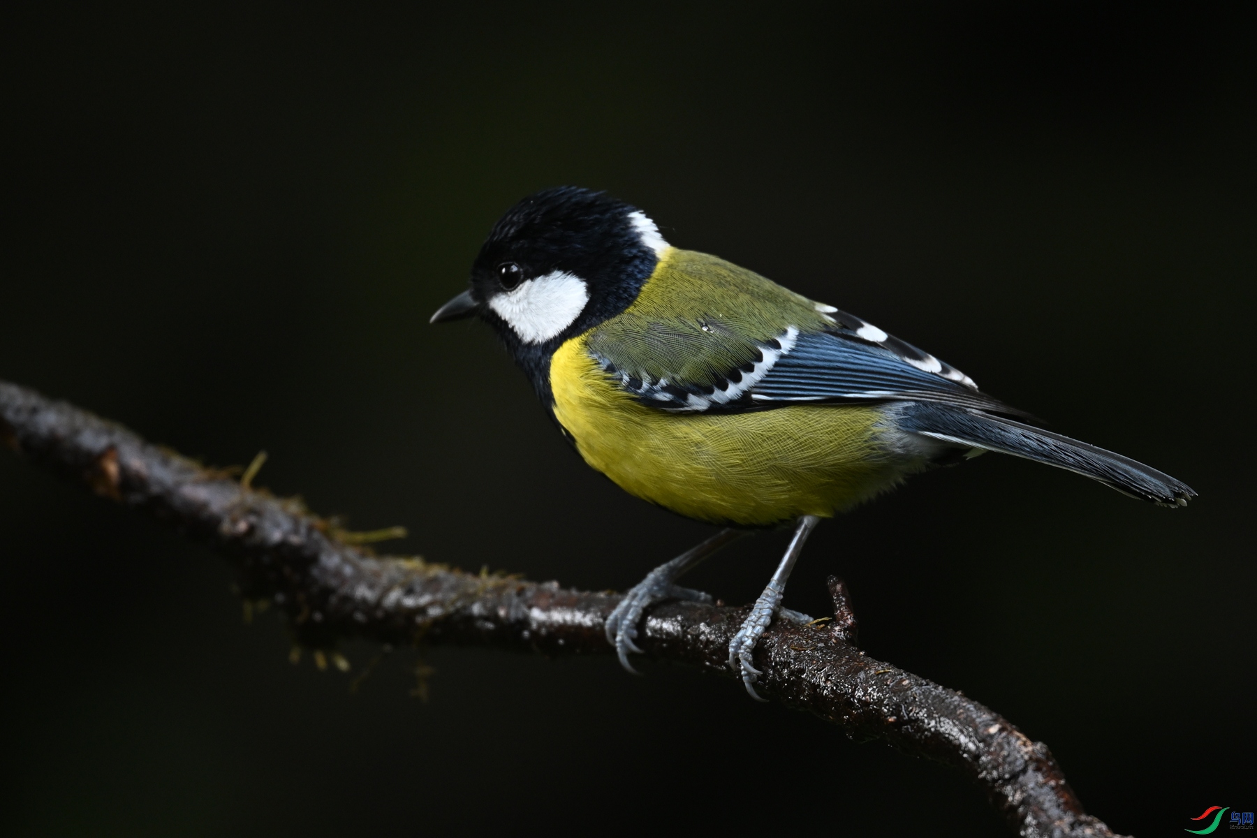 DSC_6922.JPG