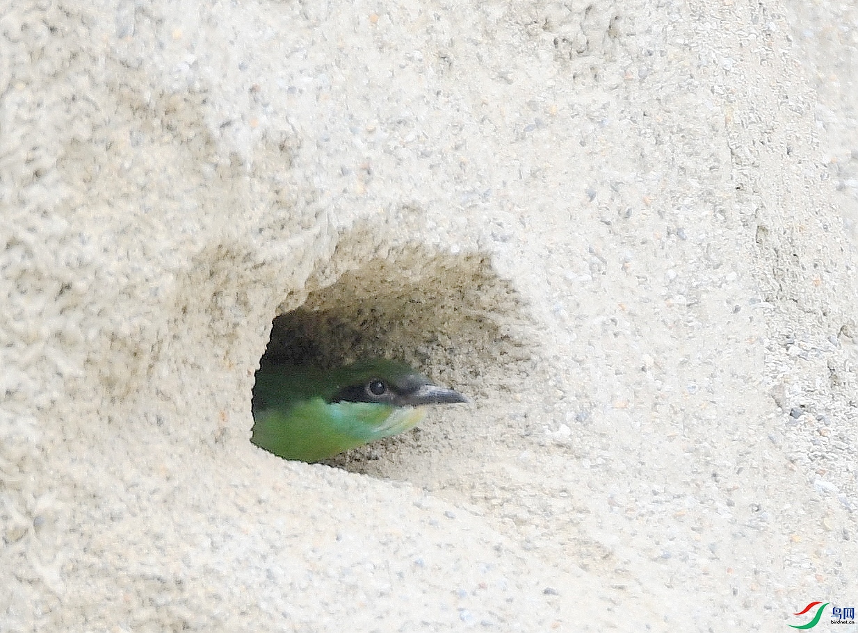 DSC_0062.jpg