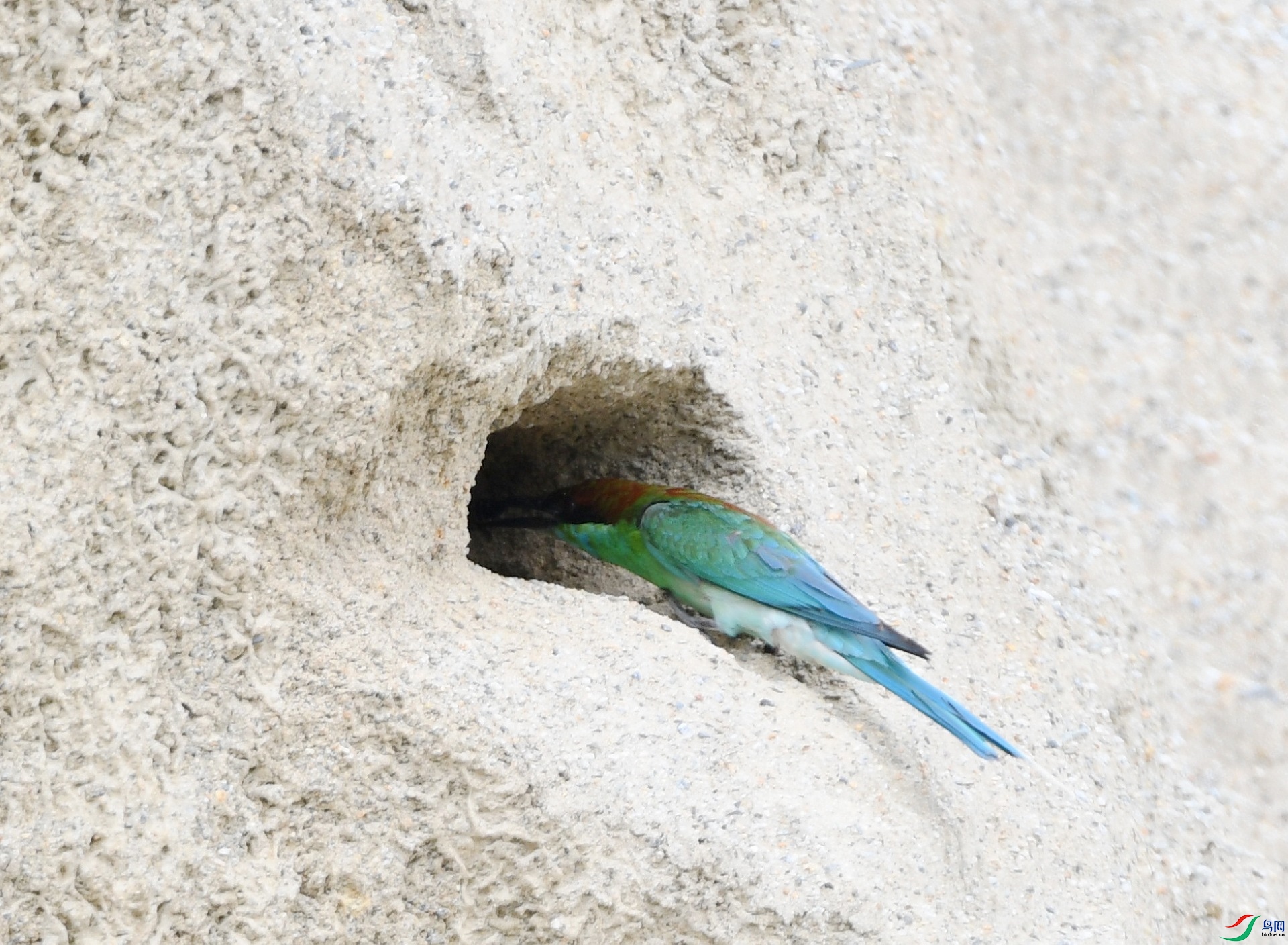 DSC_0334.jpg