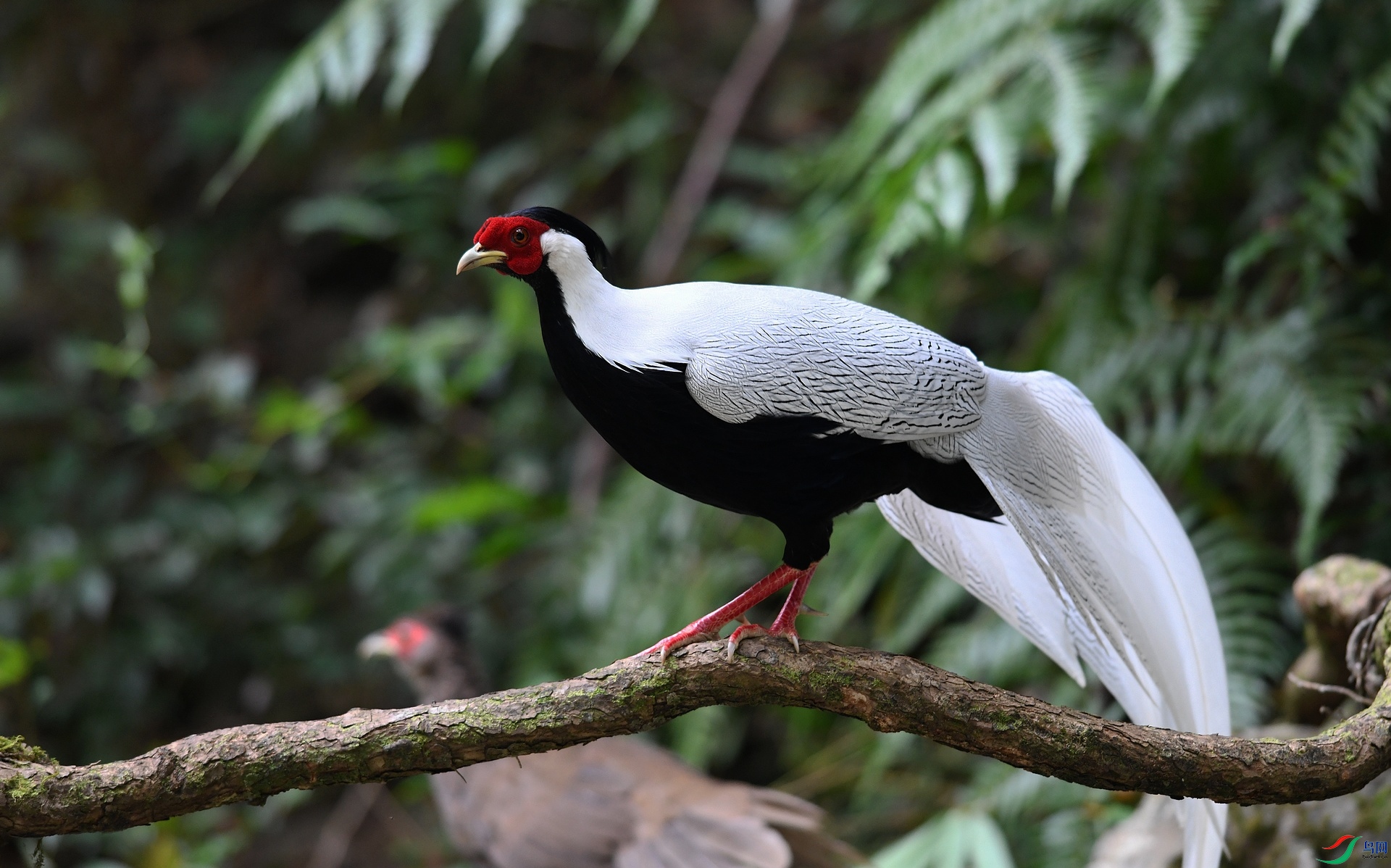 DSC_6812.jpg