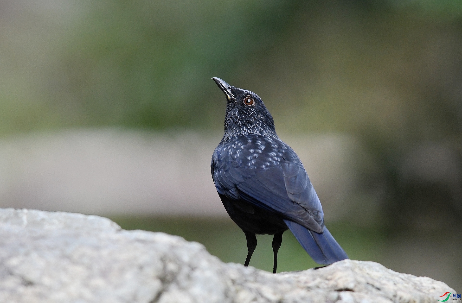 DSC_4184.jpg