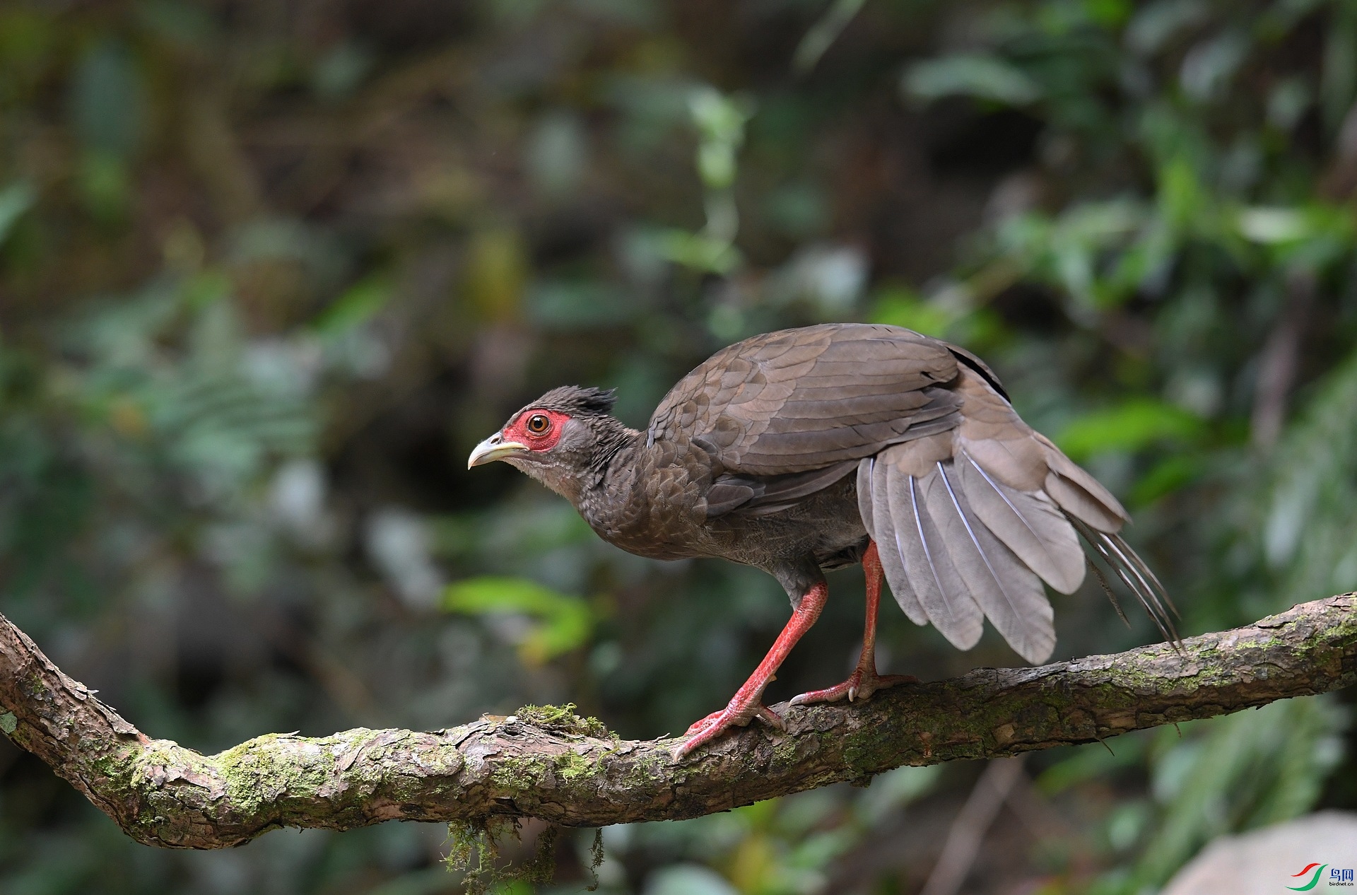 DSC_6806.jpg