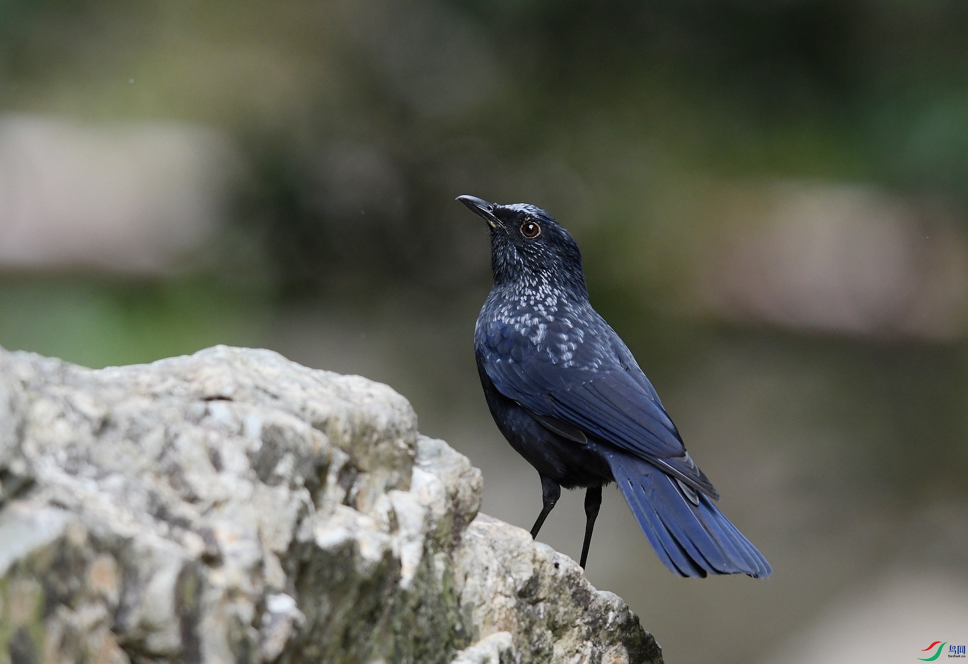 DSC_4196.jpg