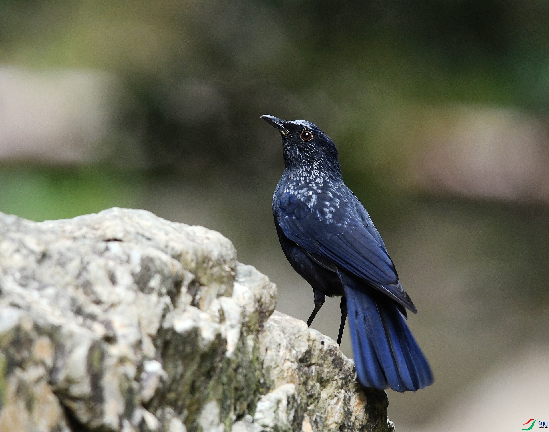 DSC_4197.jpg