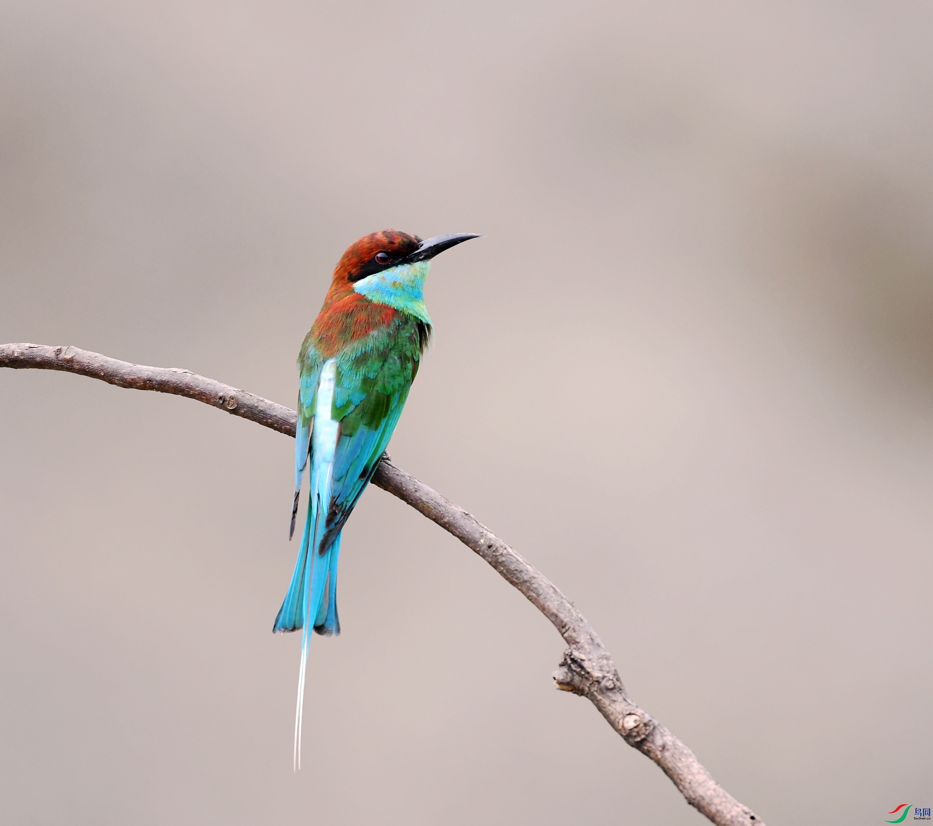 DSC_4996.jpg