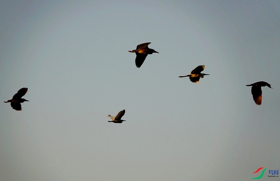 _DSC8840.JPG