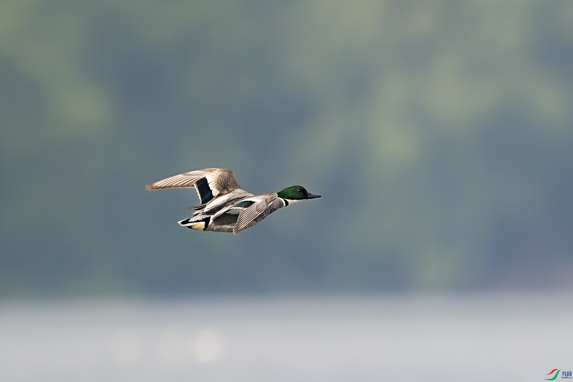 DSC_3627.jpg