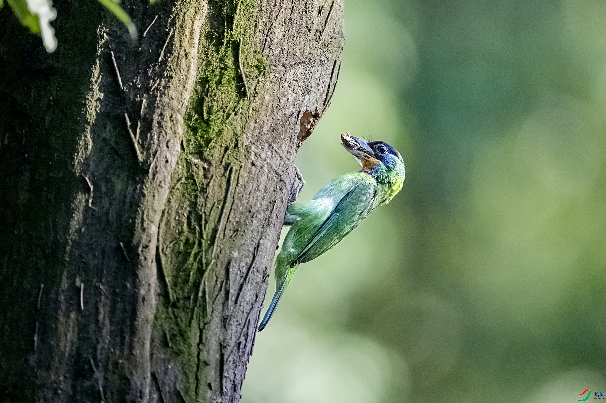 DSC_3110.jpg