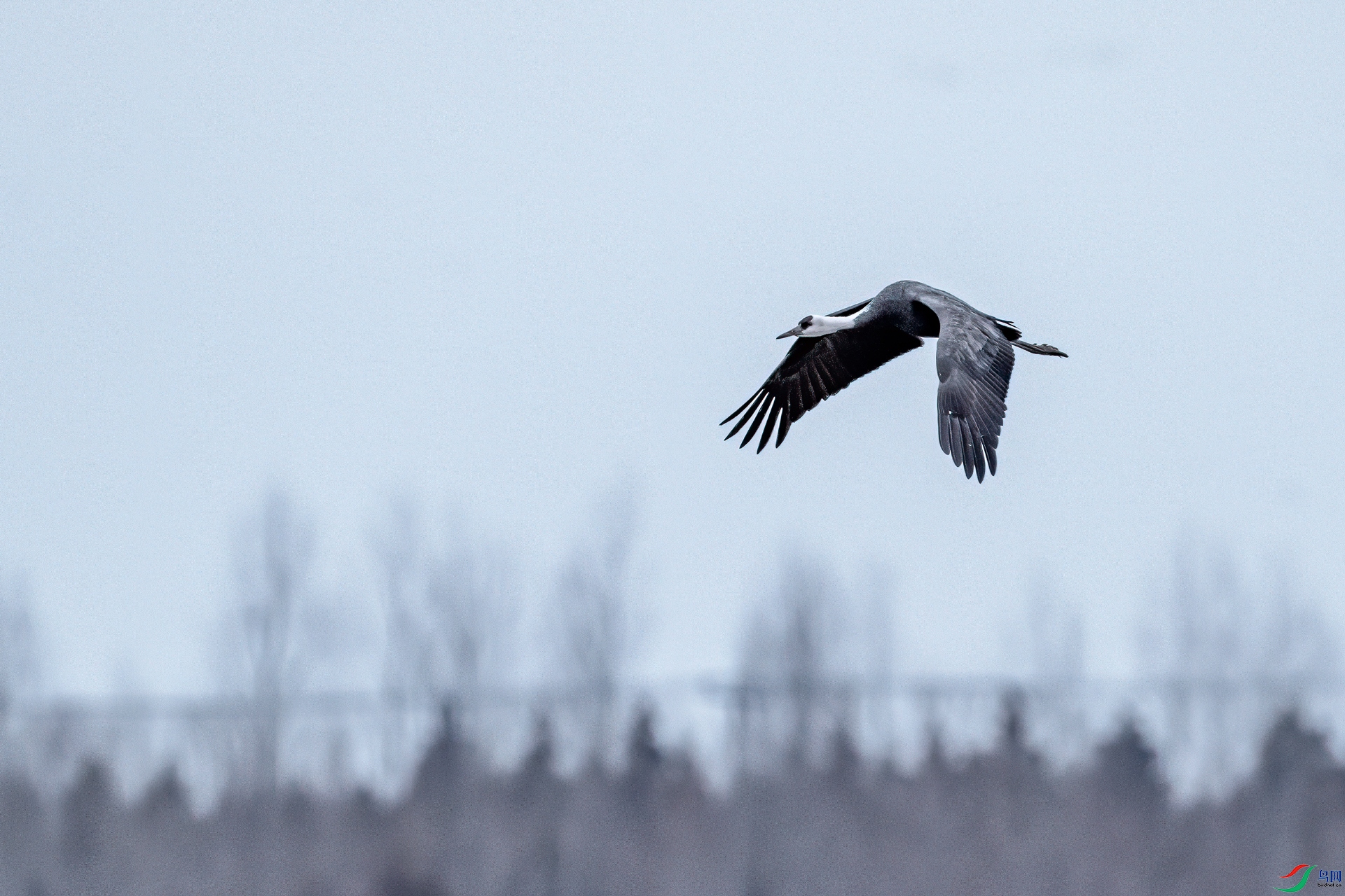 DSC_5544-11.jpg