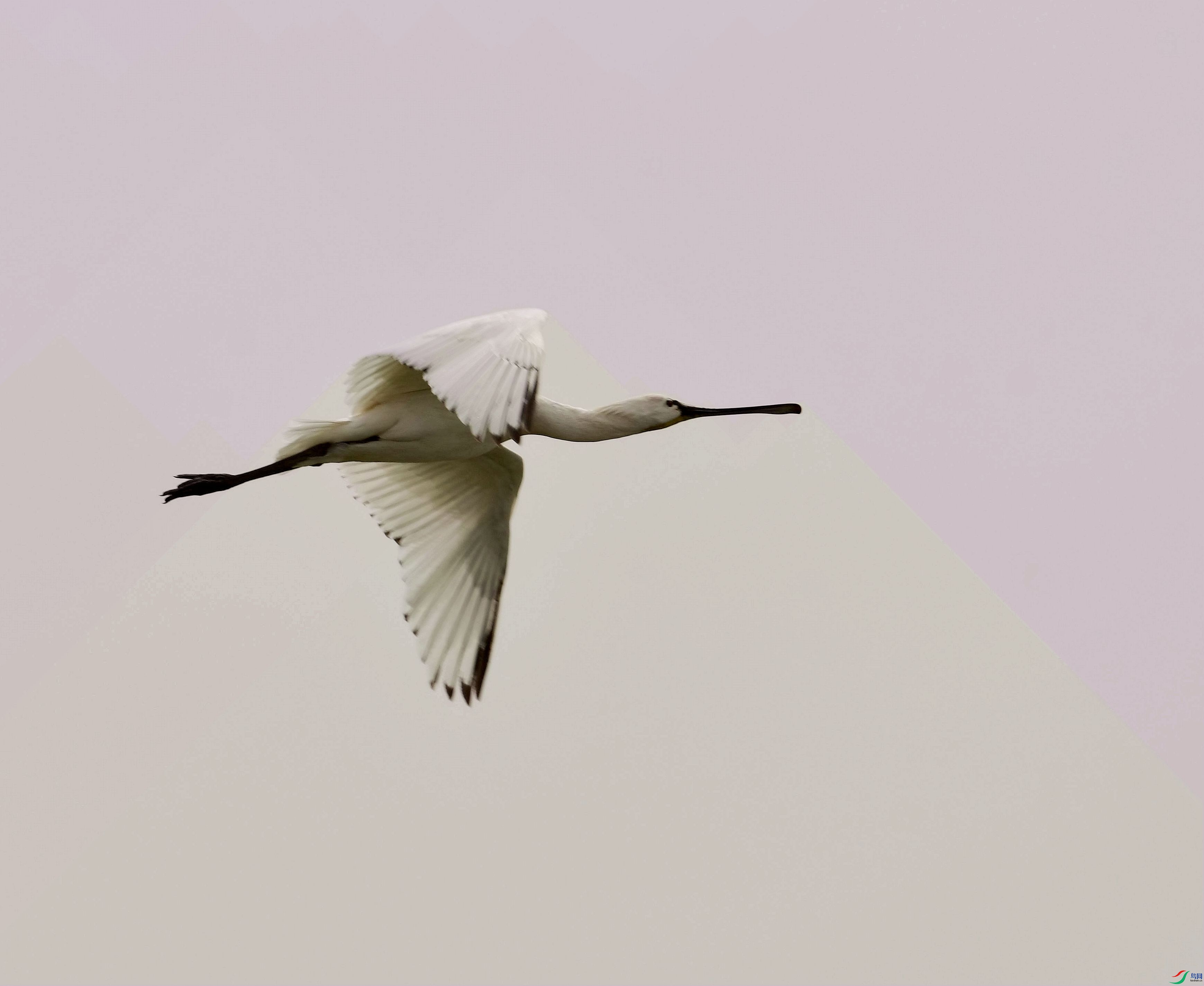 DSC_0658_����.jpg