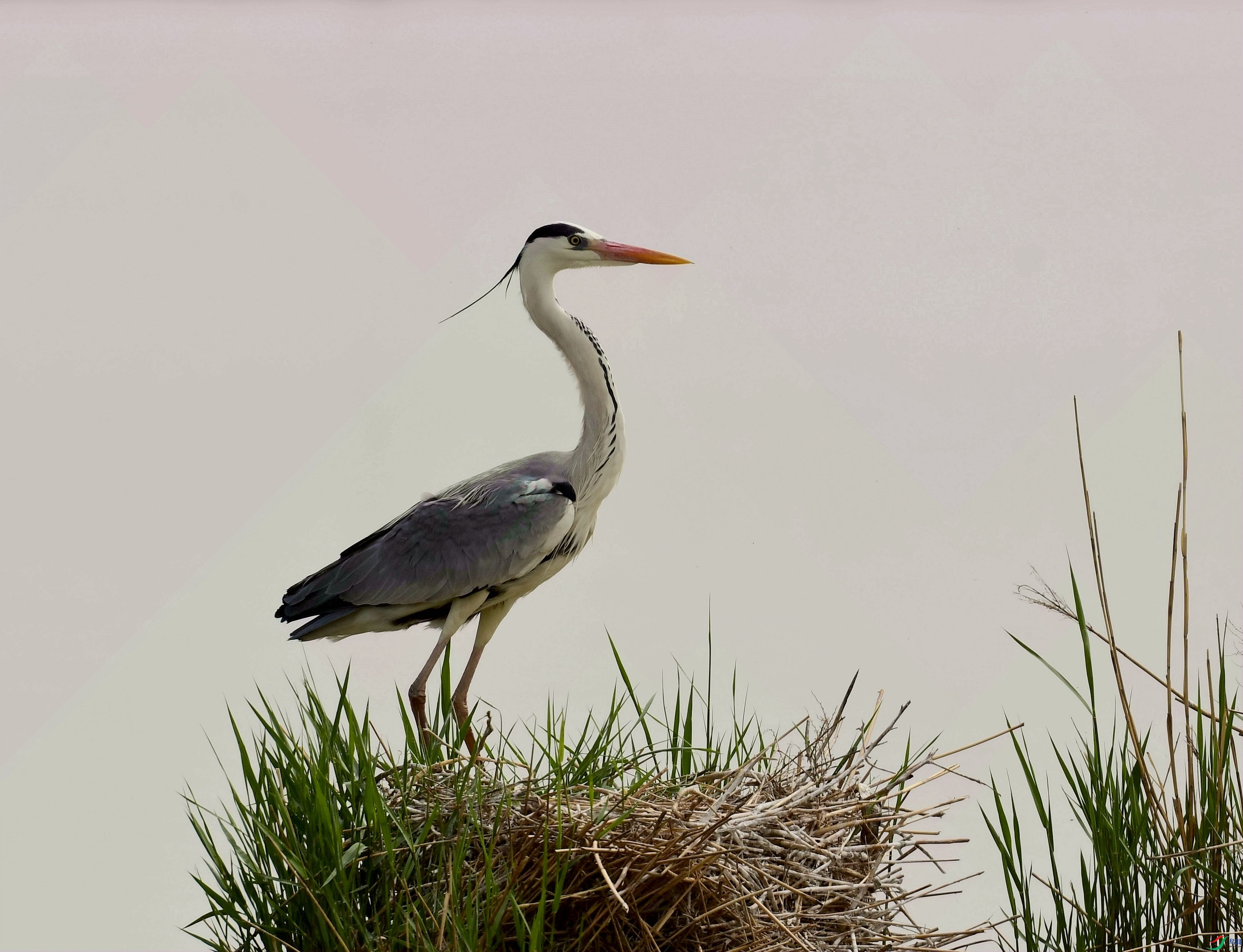 DSC_0579_����.jpg