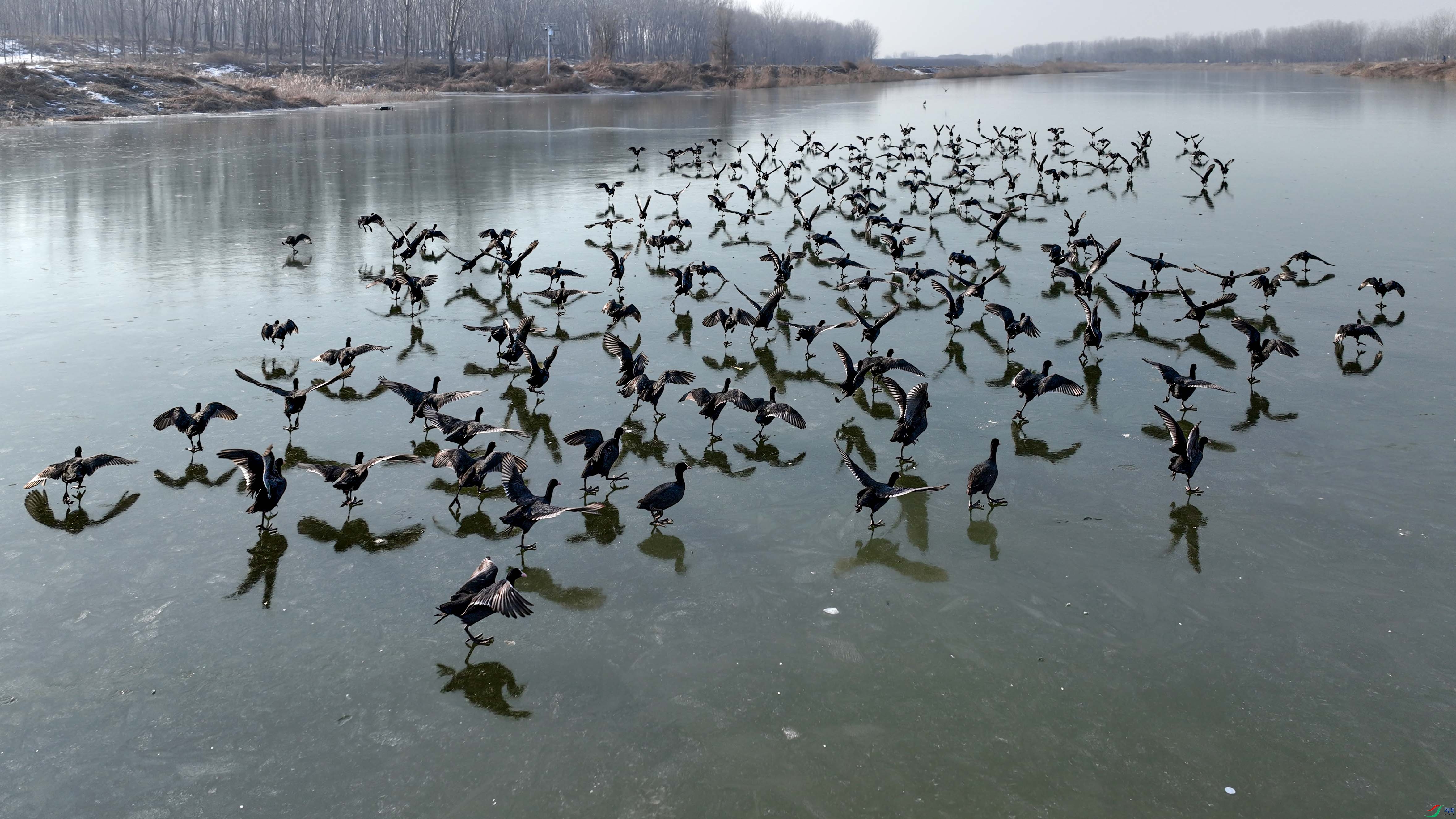 DJI_0397.JPG