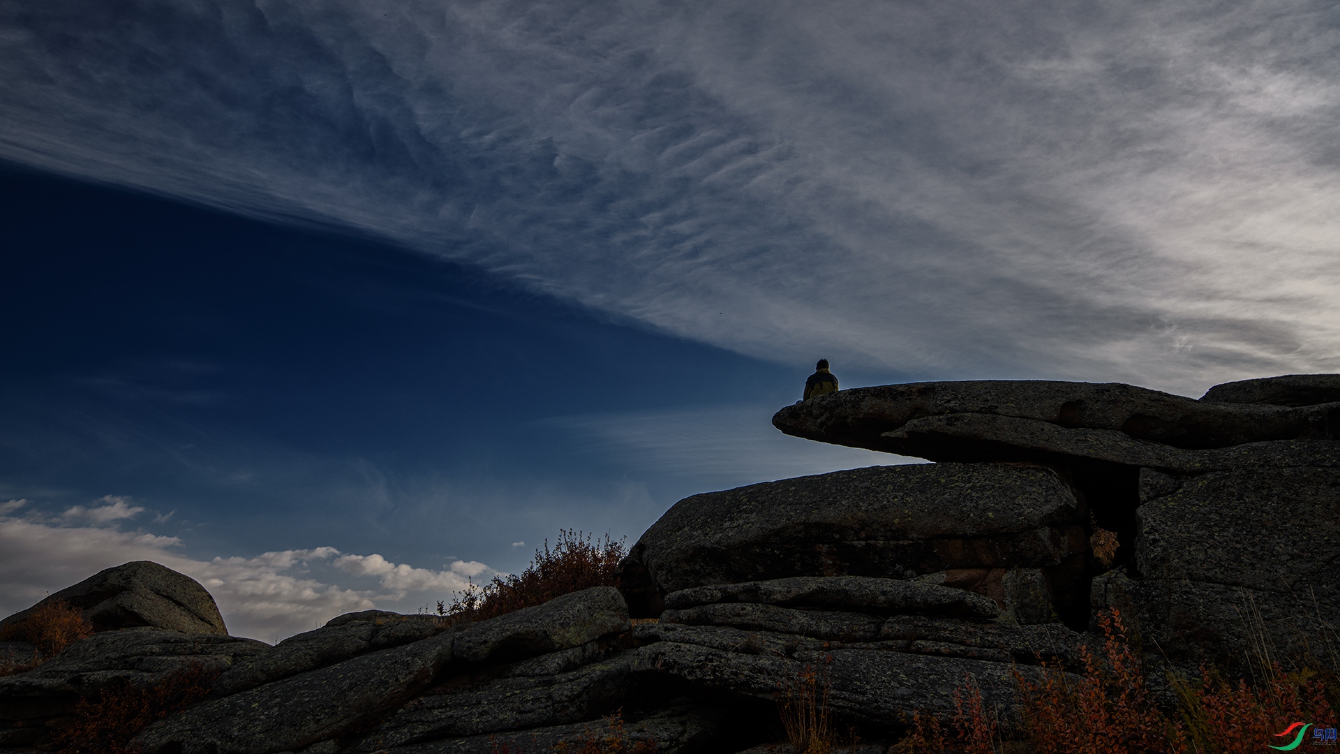 DSC_2211-20260911��.jpg