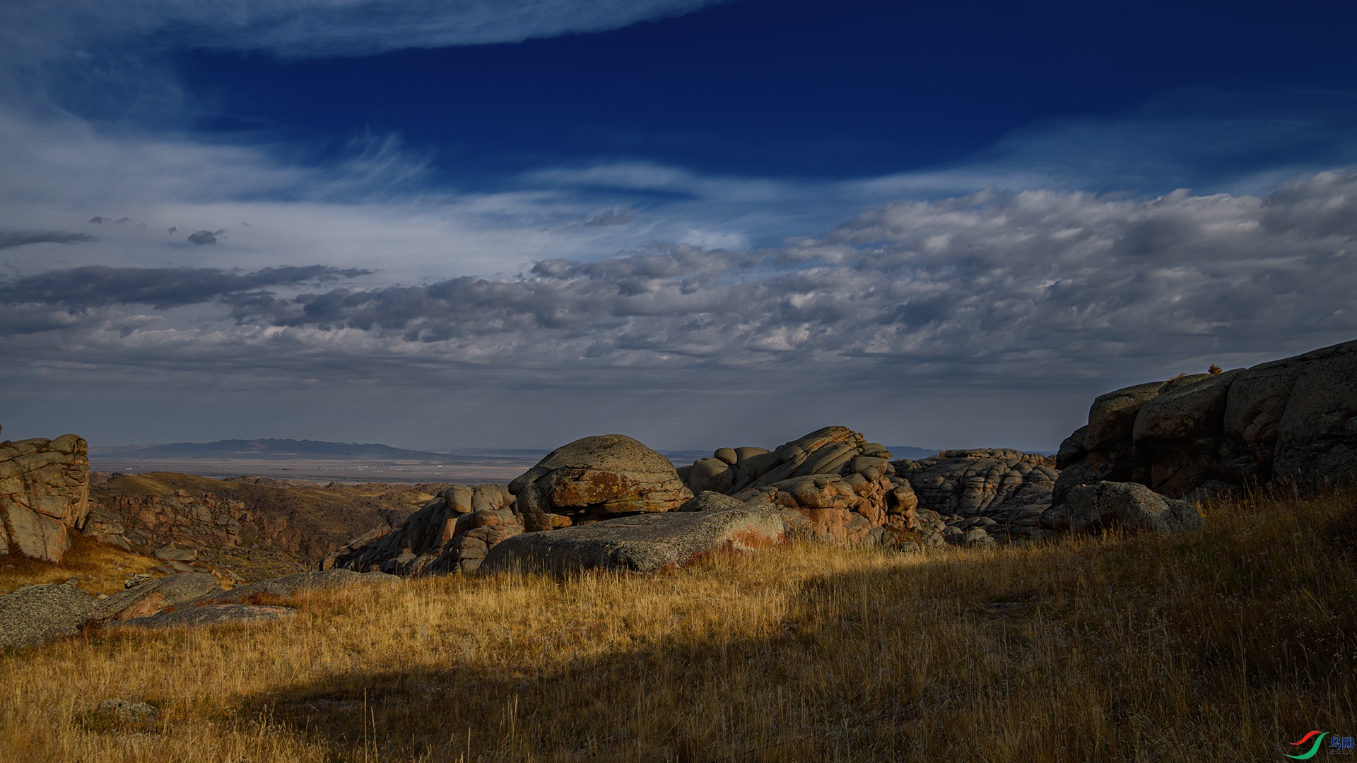DSC_2209-20260911�ü�.jpg