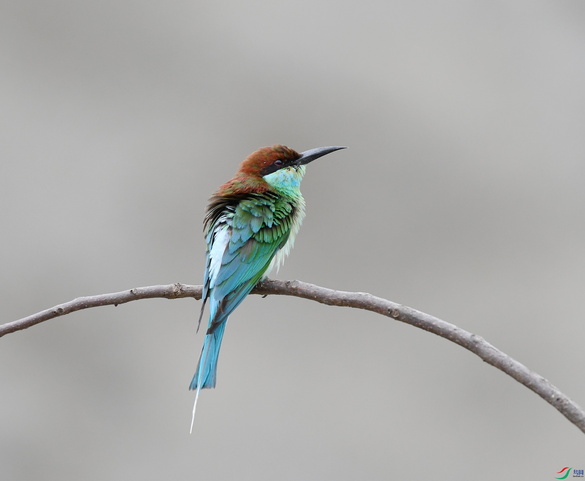 DSC_5210.jpg