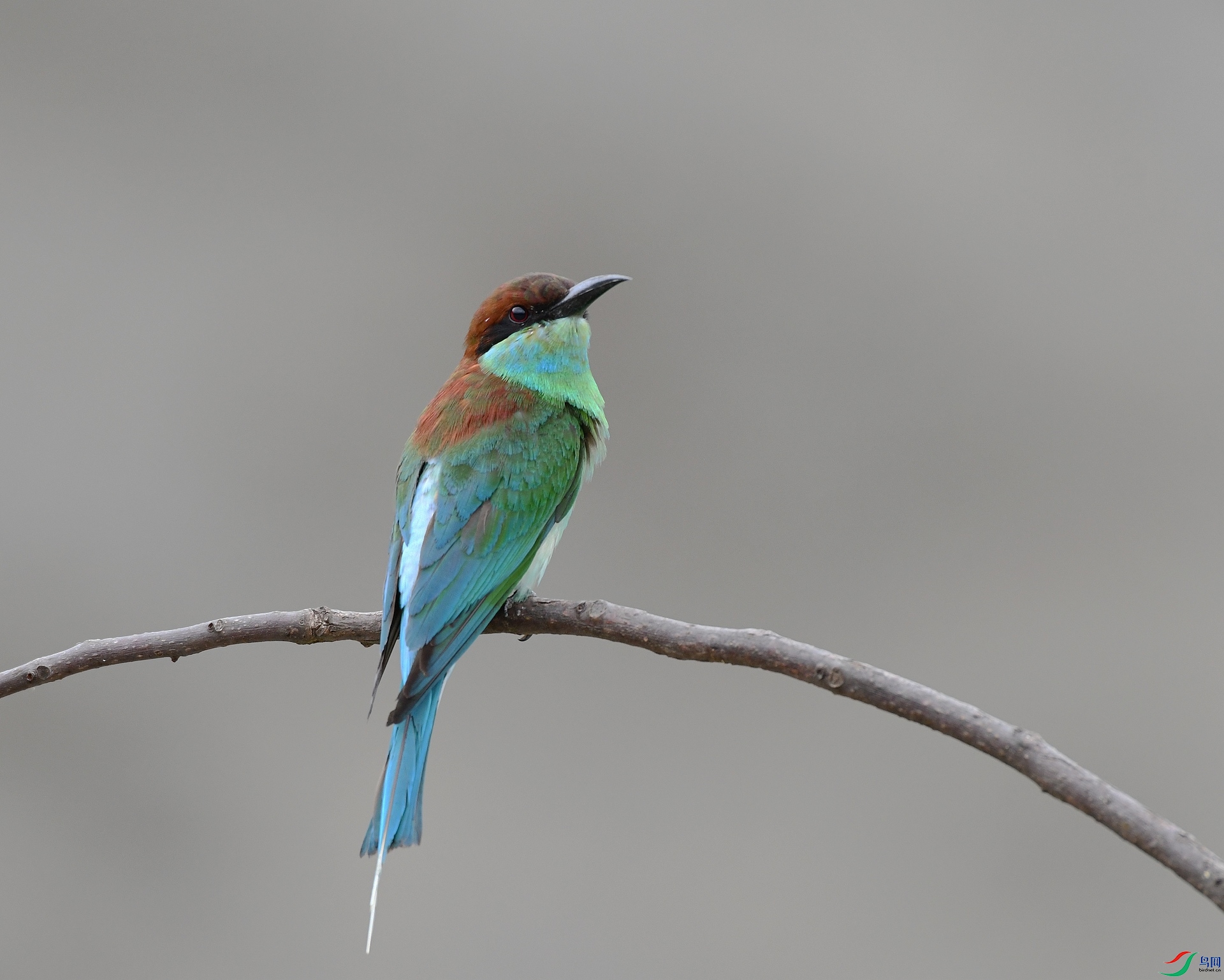 DSC_5197.jpg