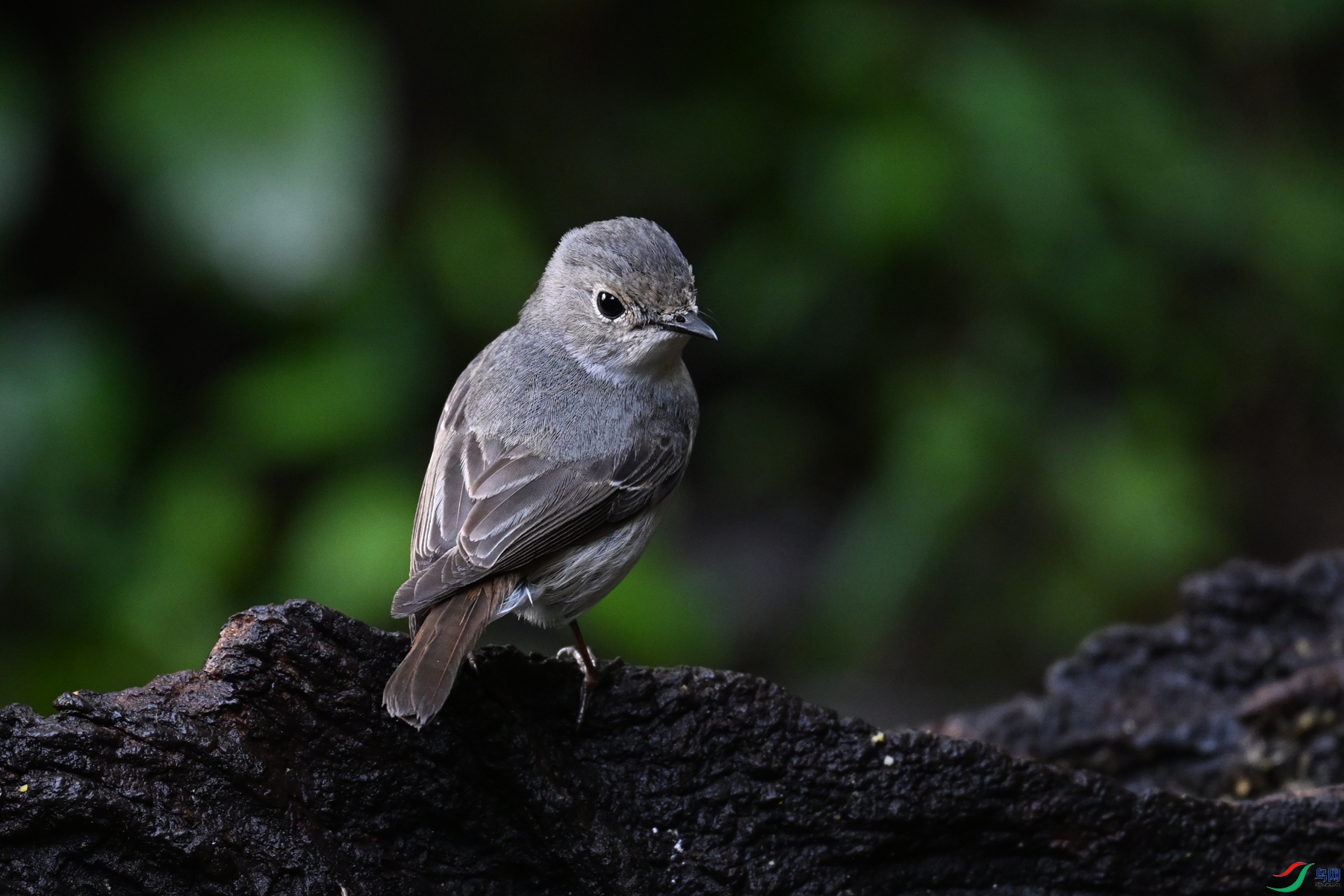 DSC_6960.JPG