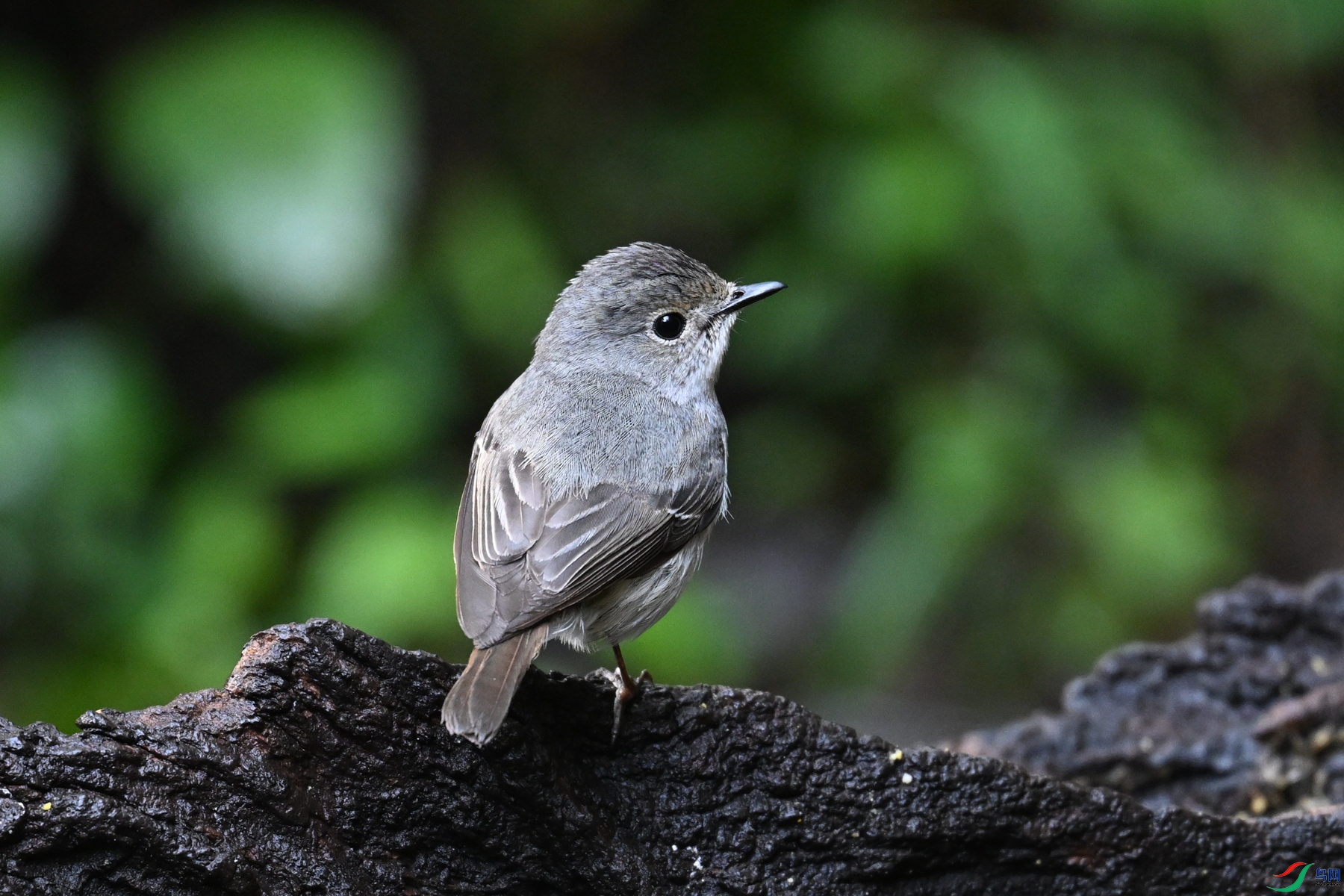 DSC_6962.JPG