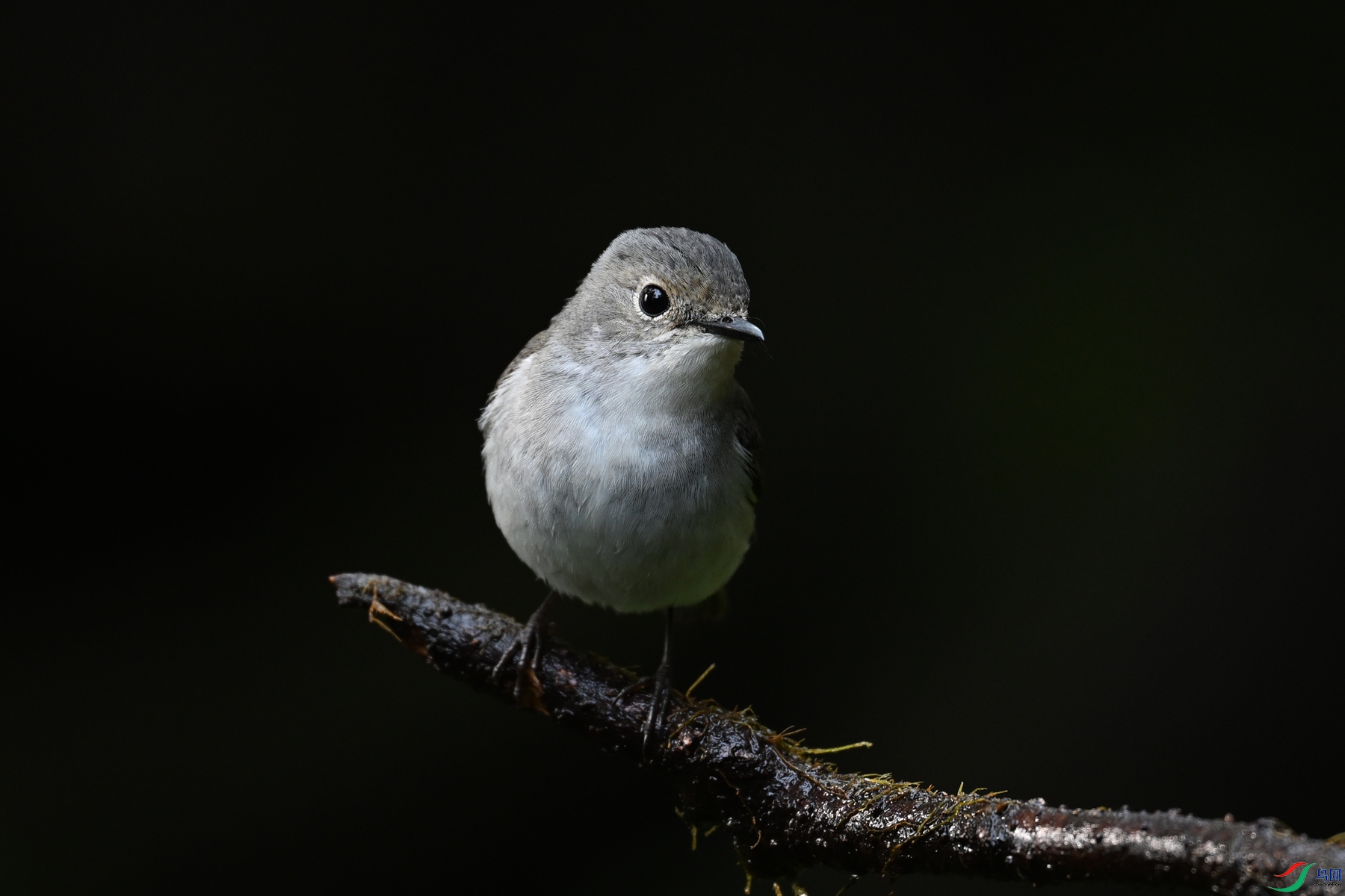 DSC_6976.JPG