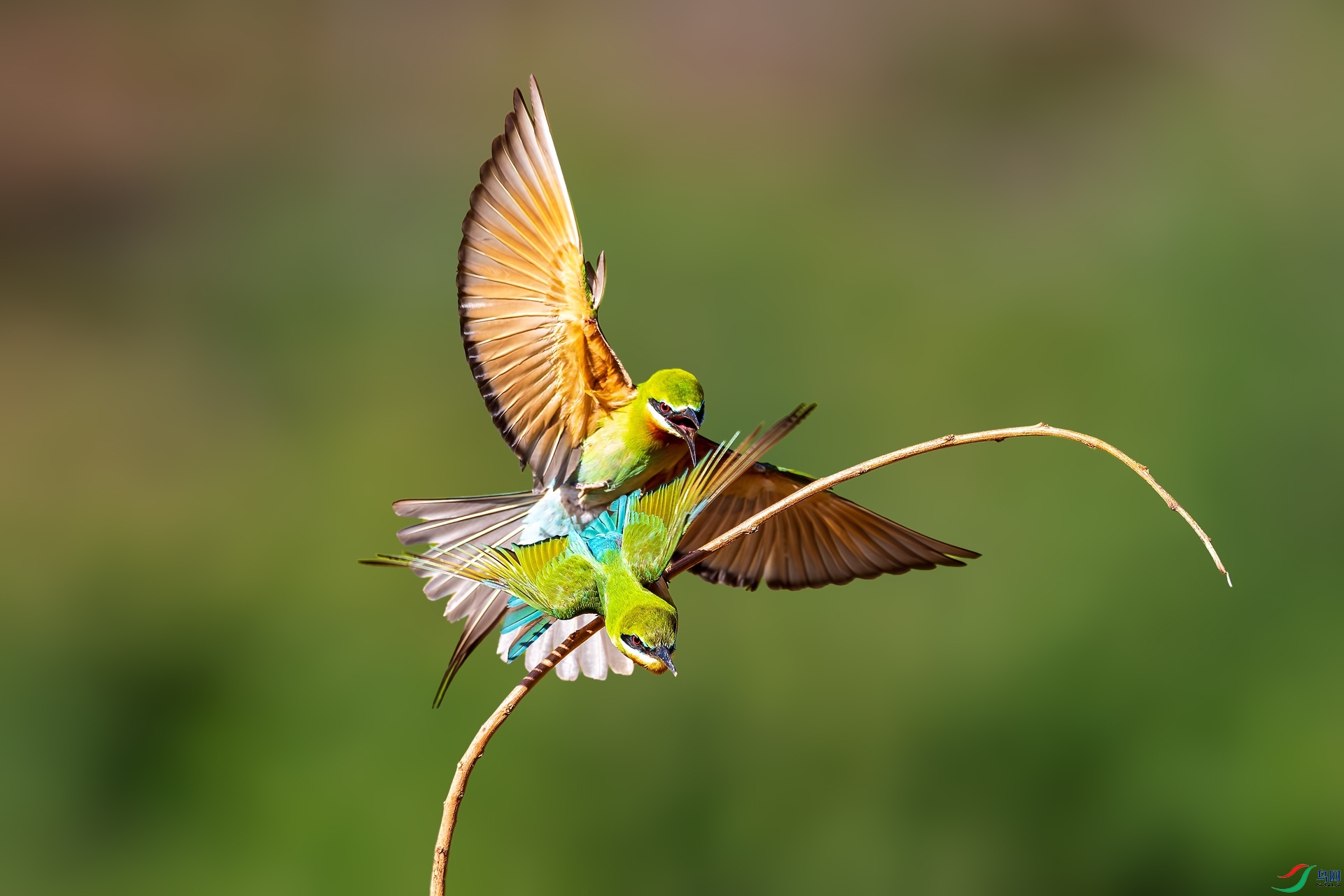_15A6521_����.jpg
