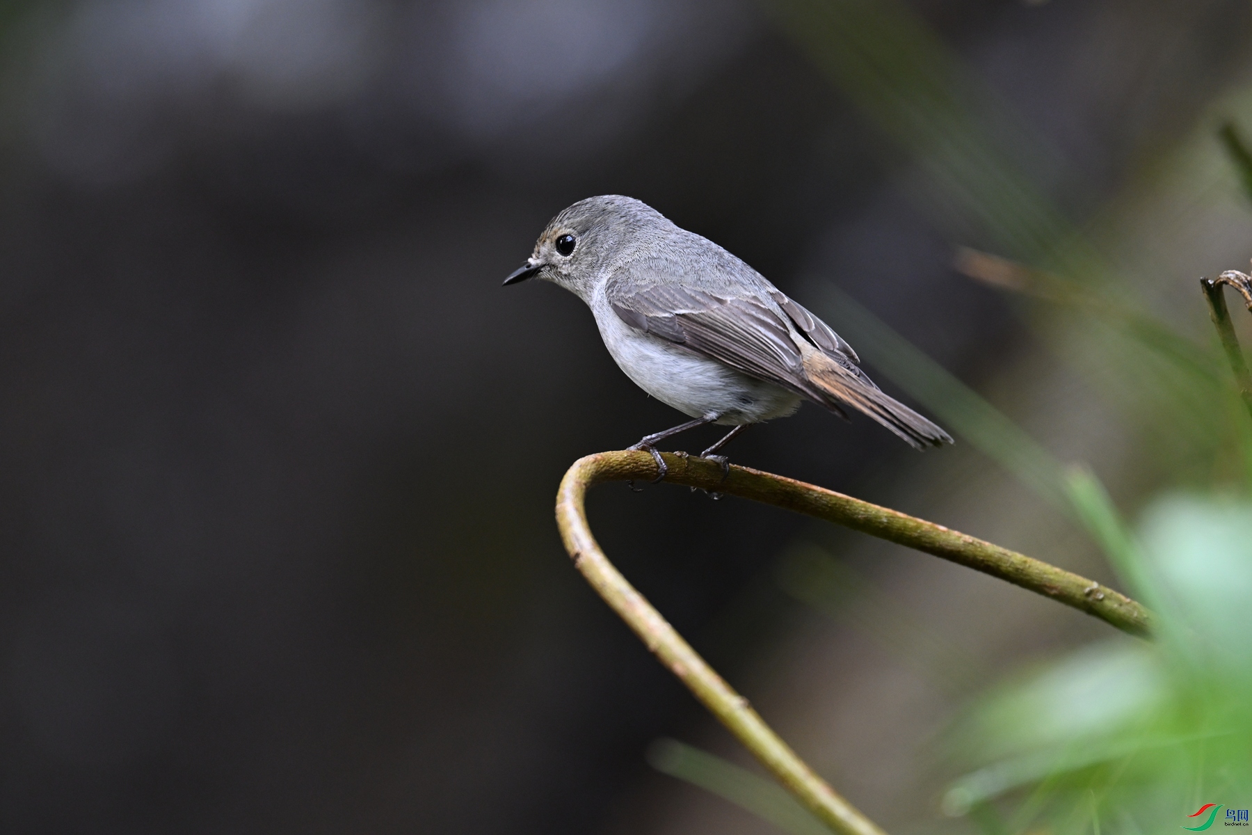 DSC_6979.JPG