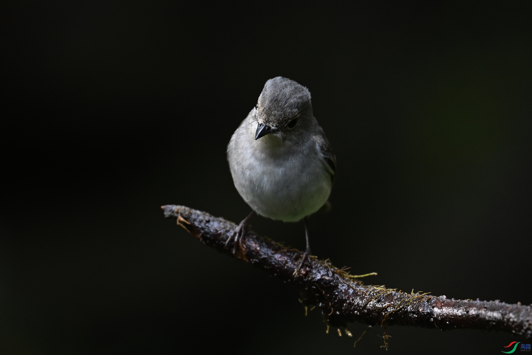 DSC_6966.JPG