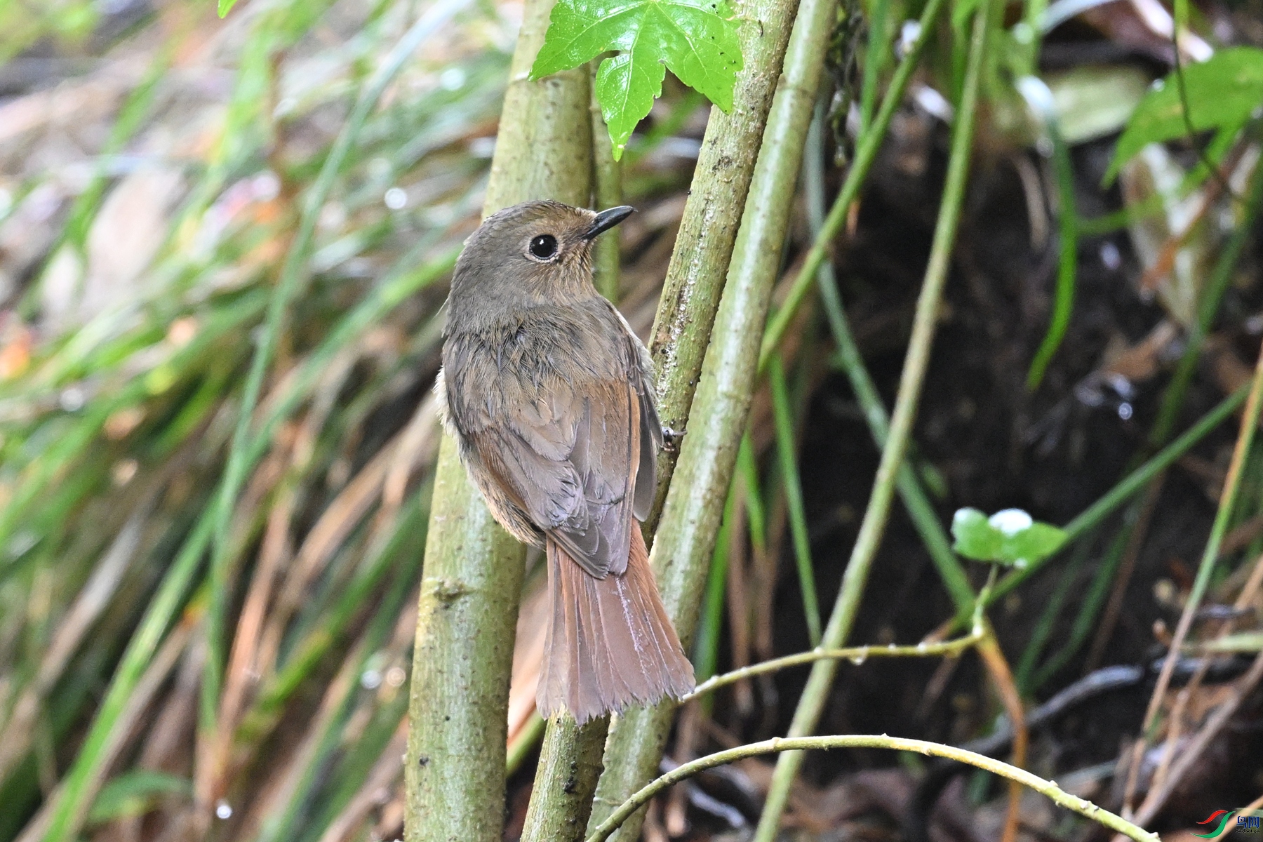 DSC_6941.JPG