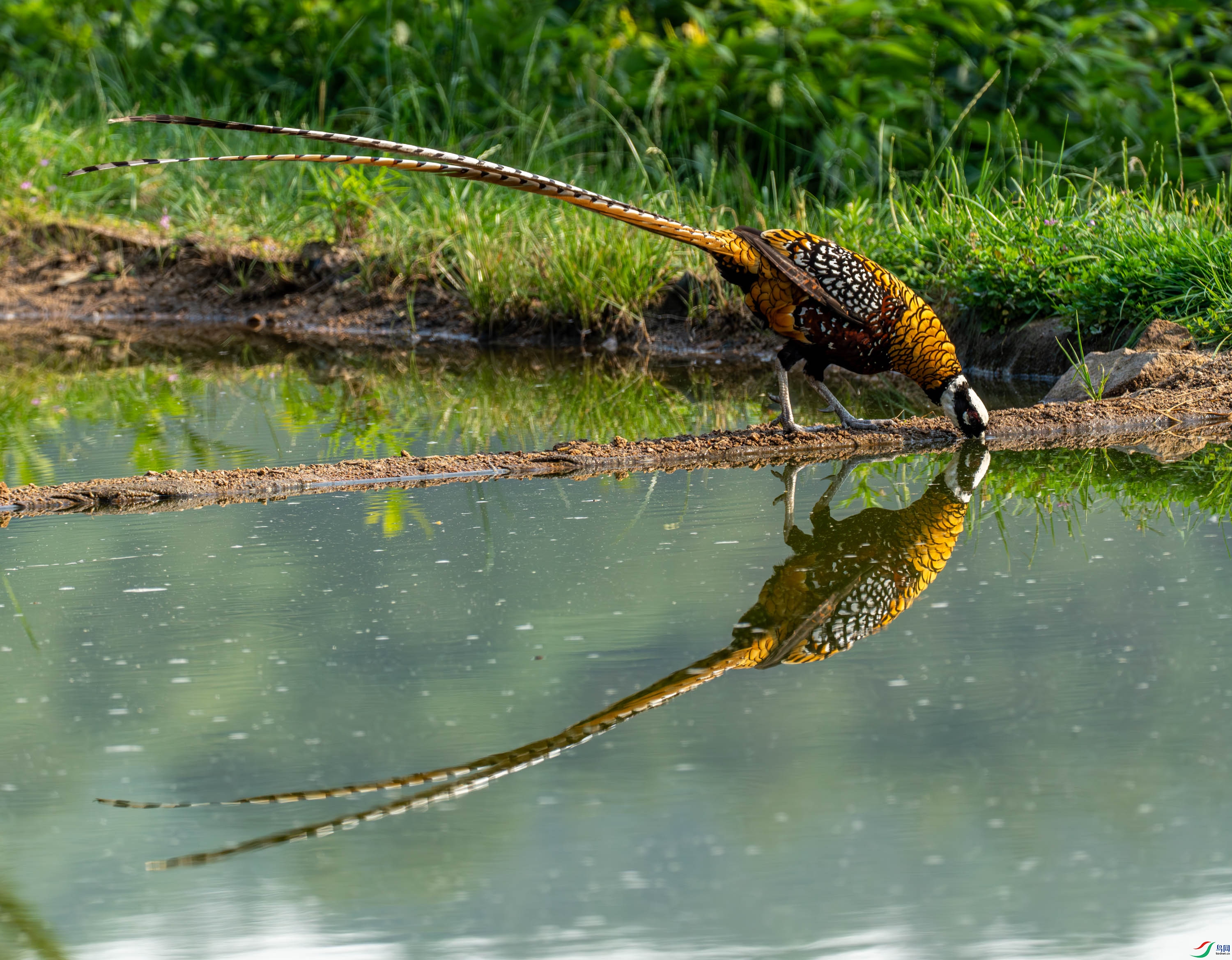 �׹ڳ�β�� (20 - 76).jpg