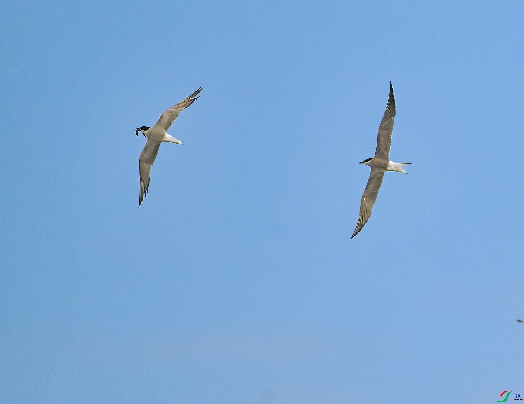 DSC_0417---_conew1.jpg