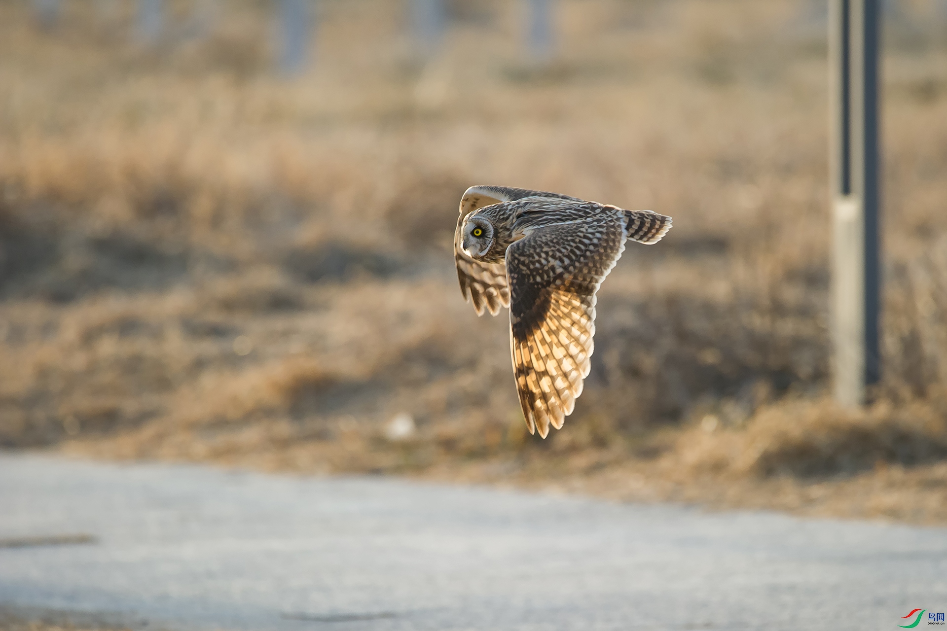 DSC_1116-20201222�ü�.jpg