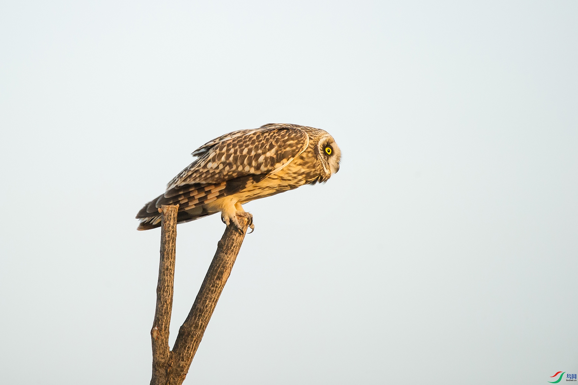 DSC_1150-20201222�ü�.jpg