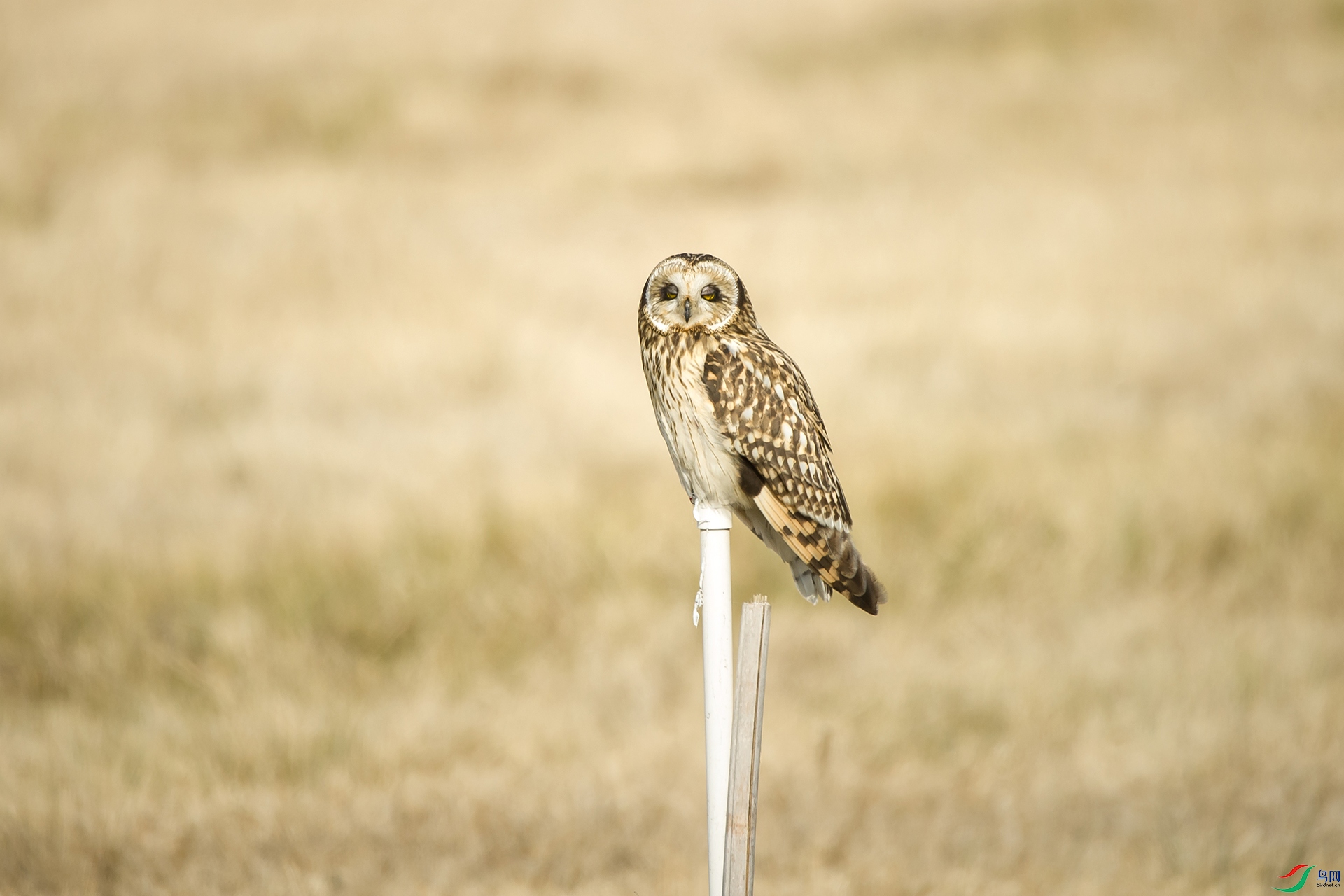 DSC_1203-20201221�ü�.jpg
