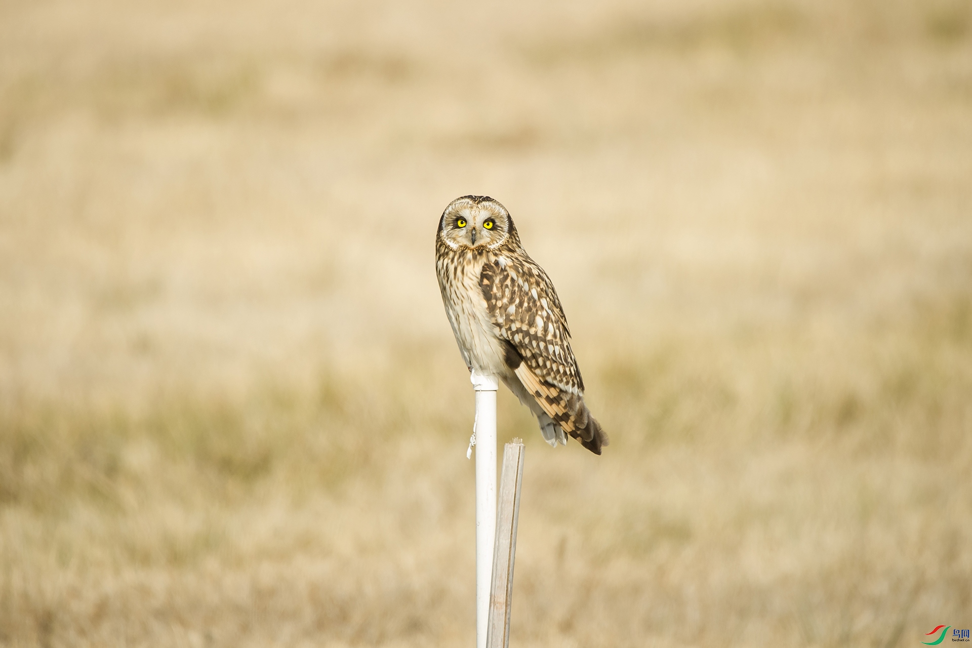DSC_1207-20201221�ü�.jpg