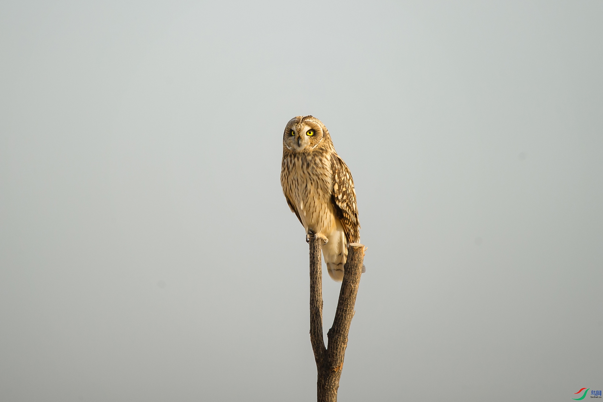 DSC_1211-20201221�ü�.jpg