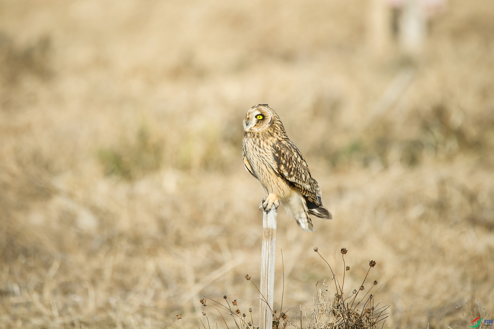 DSC_1227-20201221�ü�.jpg