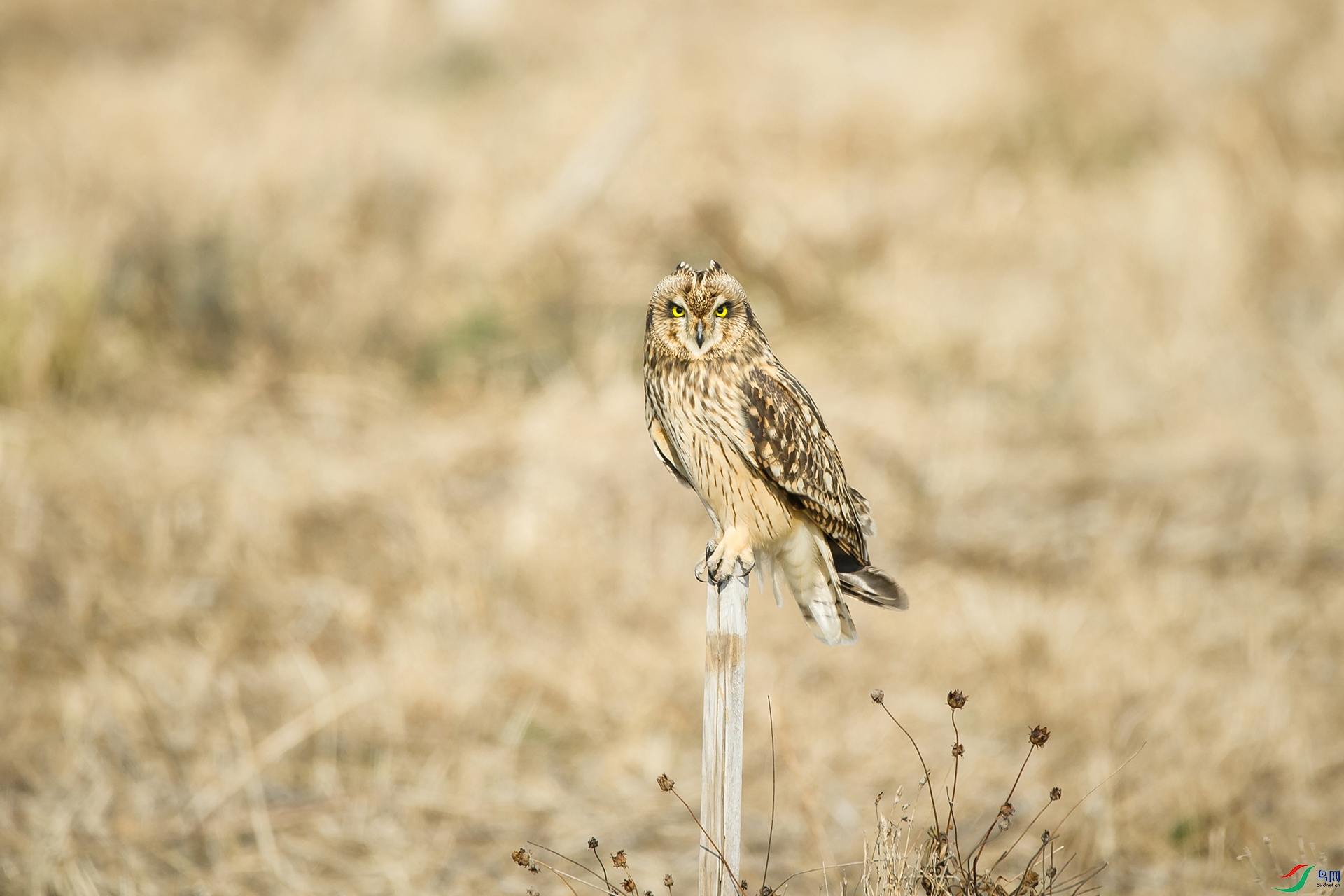 DSC_1228-20201221�ü�.jpg