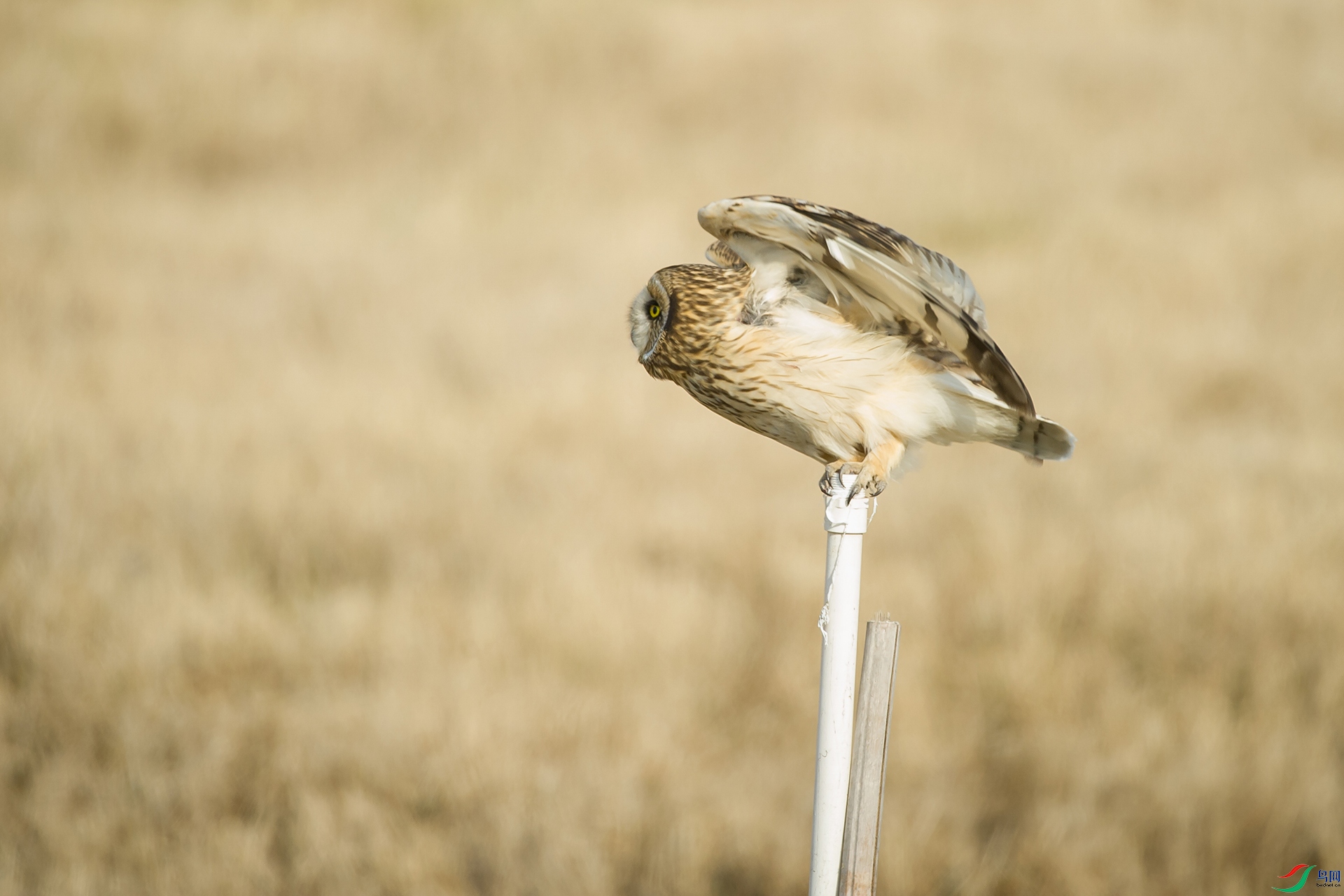 DSC_1208-20201221�ü�.jpg