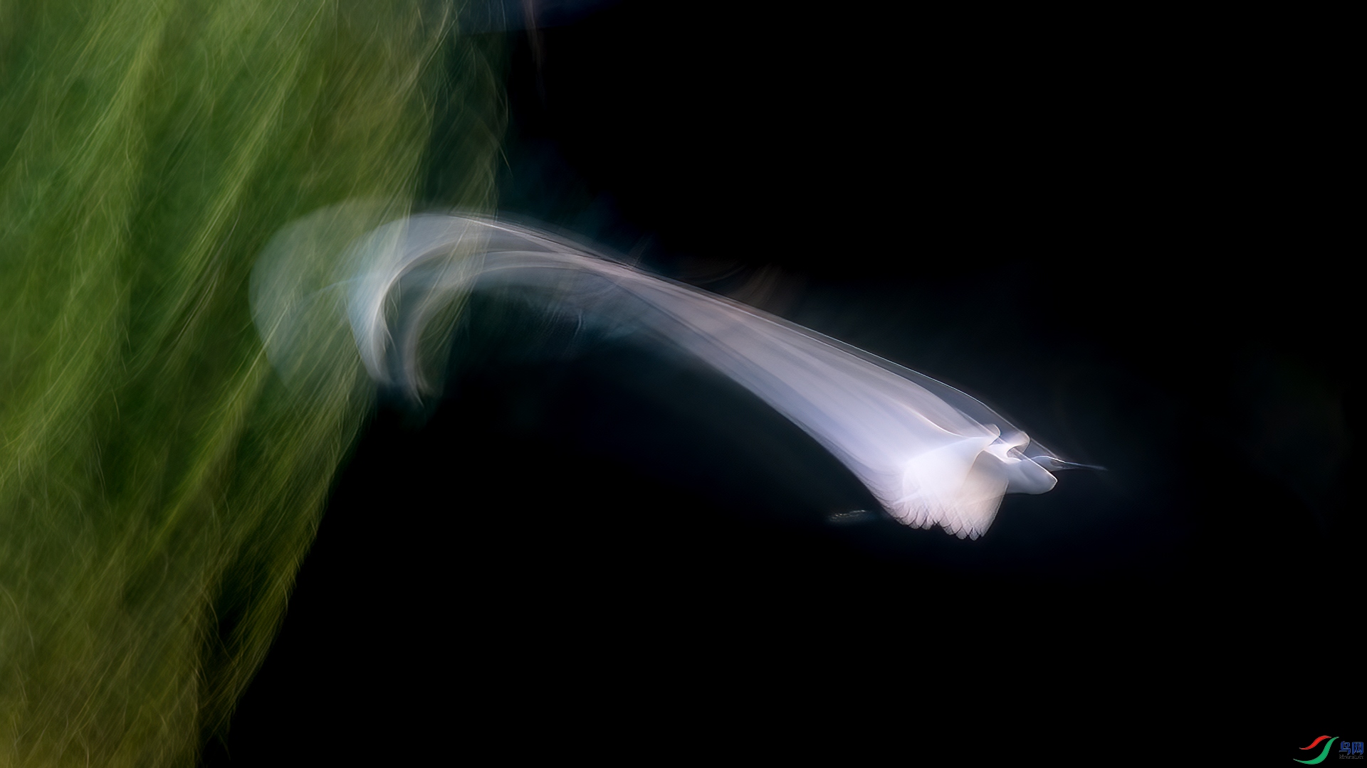 A42I4657.jpg
