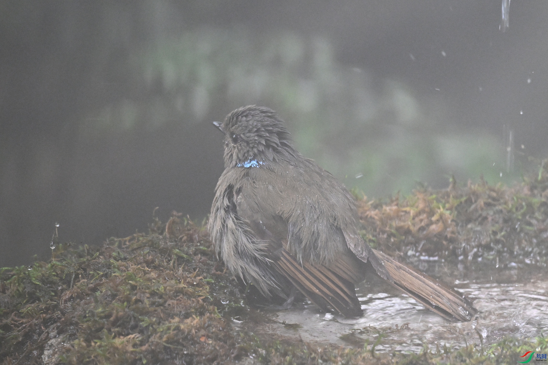DSC_7022.JPG