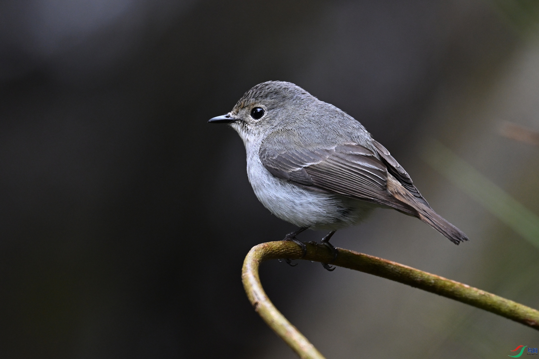 DSC_6996.JPG