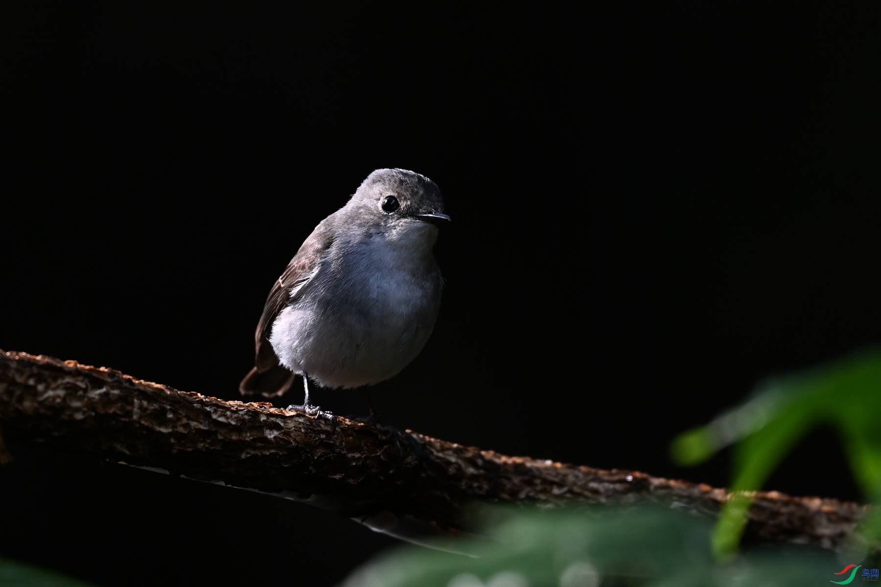 DSC_6958.JPG