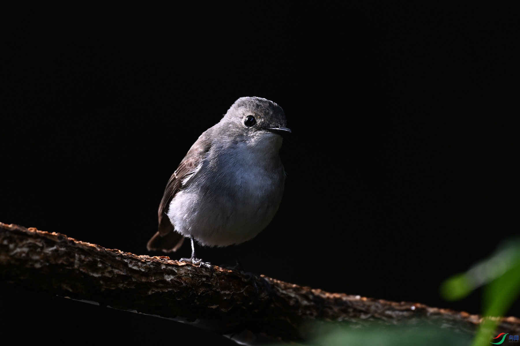 DSC_6959.JPG